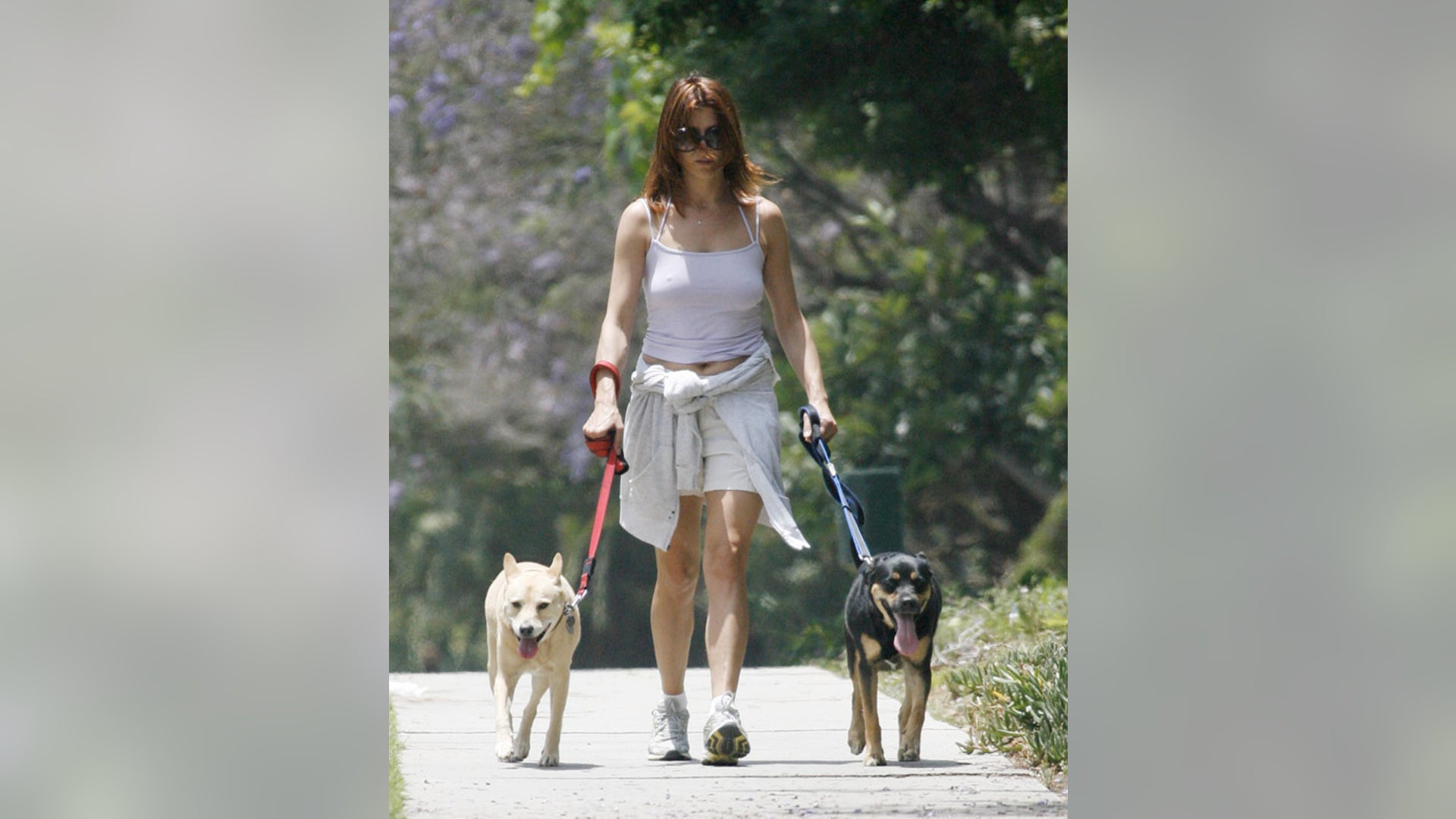 Kate_Walsh_jj