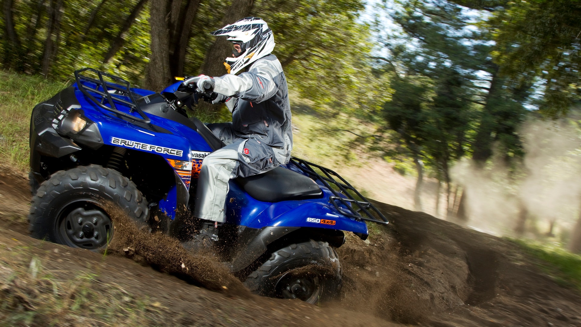 Kawasaki Brute Force 650 4x4i