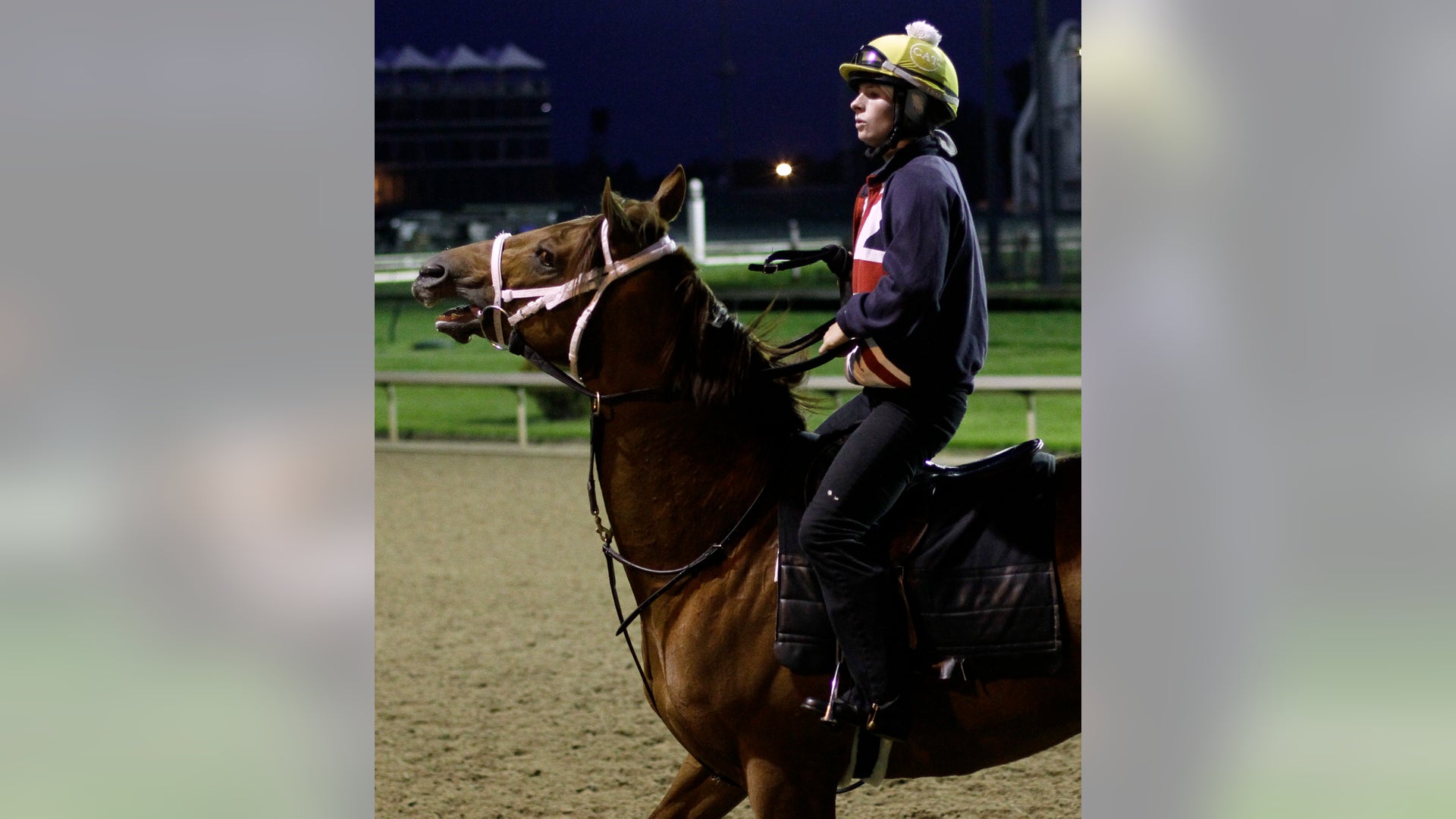Kentucky_Derby_Horse__Hein_12_