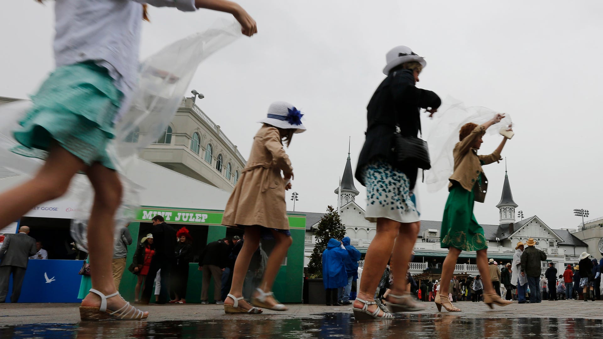 Kentucky_Derby_Horse__Hein_21_