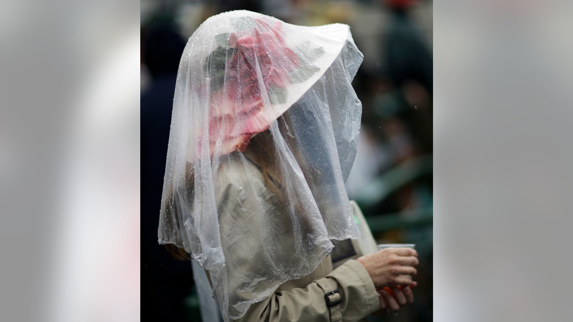 Kentucky_Derby_Horse__Hein_6_