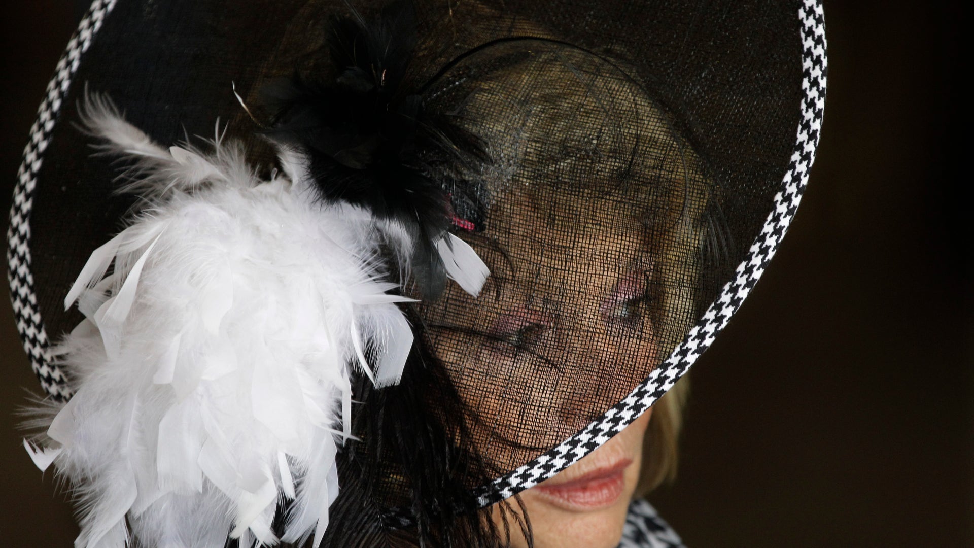 Kentucky_Derby_Horse__Pata_7_