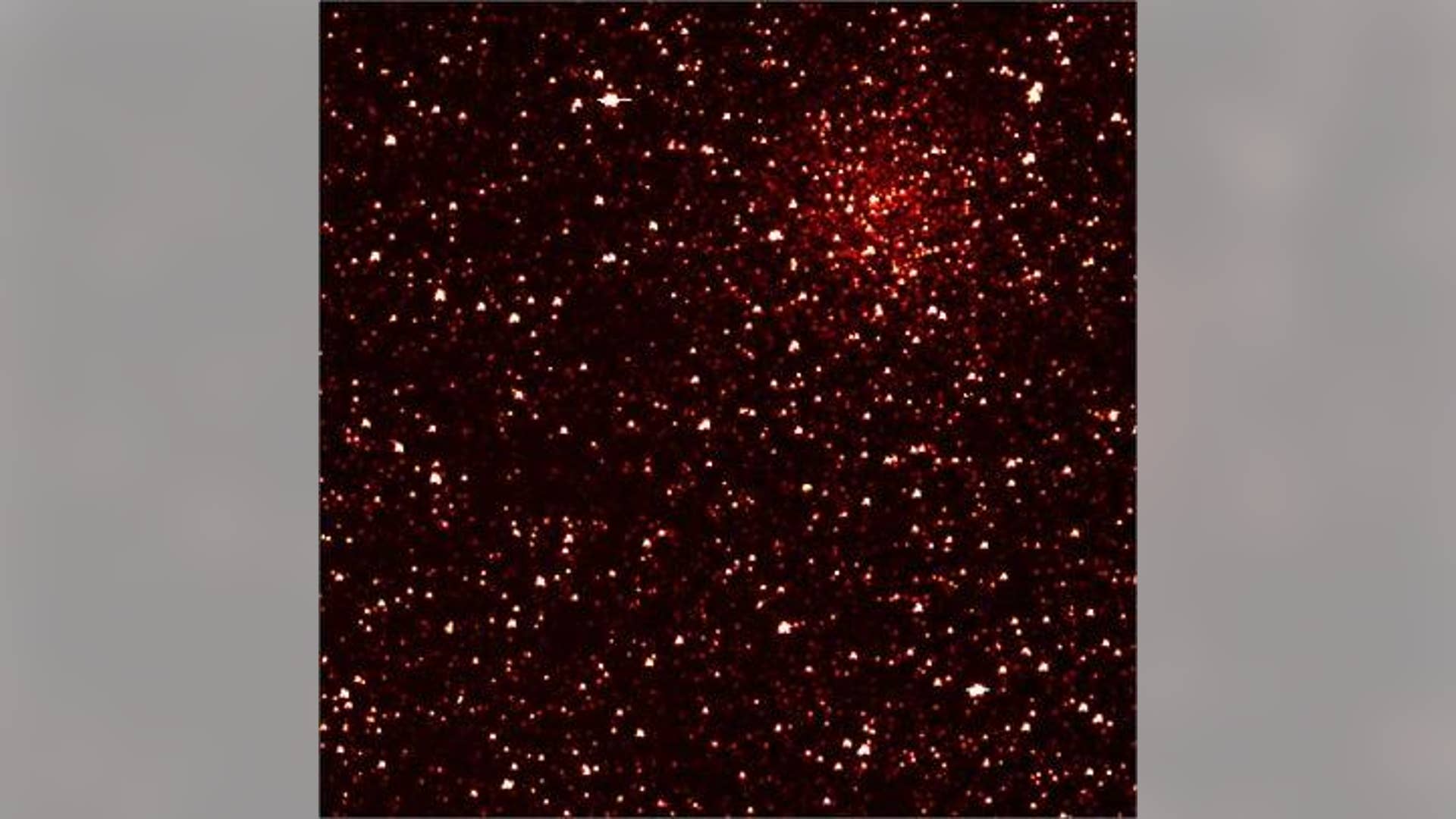 Stars in Kepler's Sight