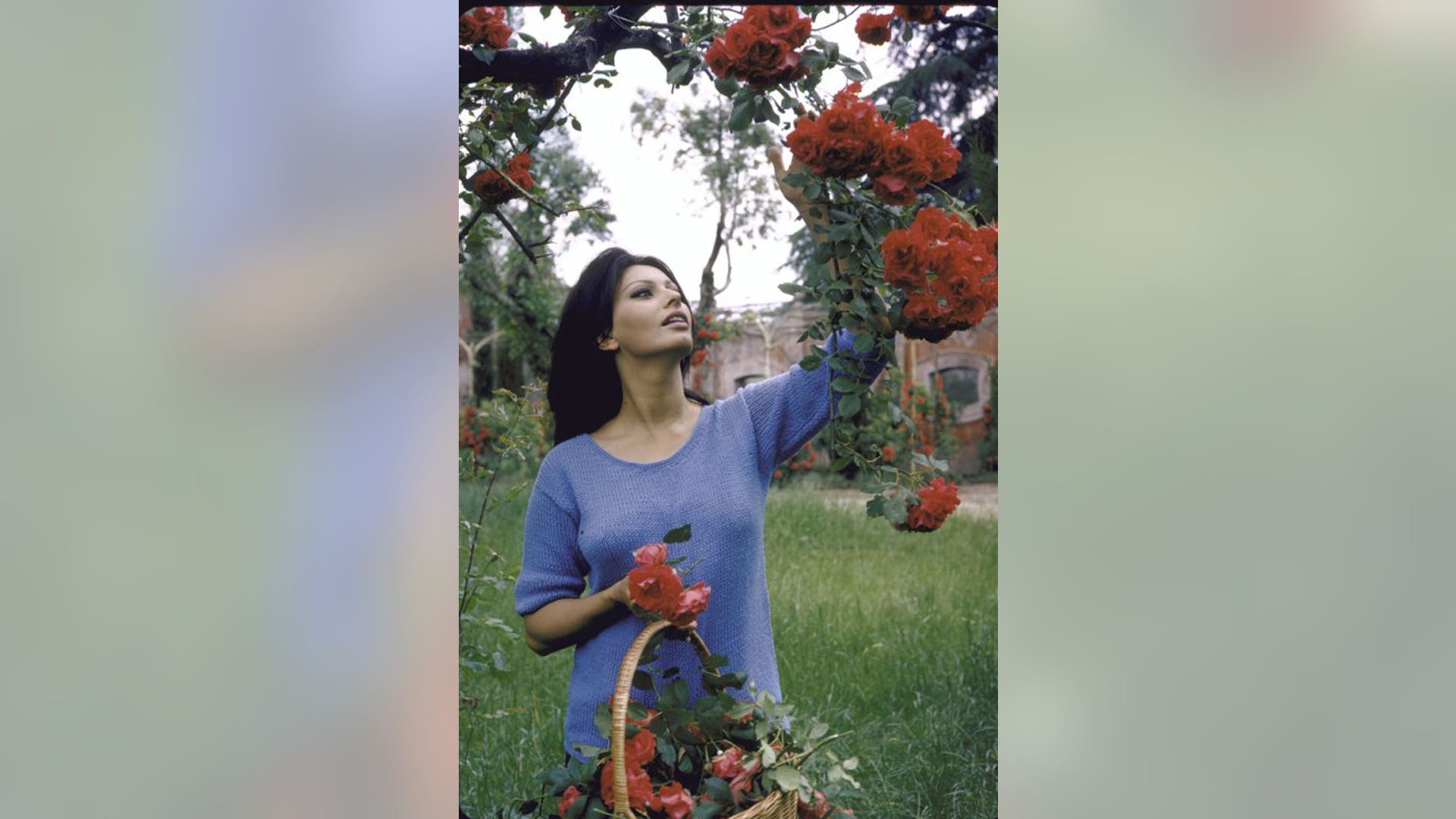 LIFE_Home_With_Stars_1