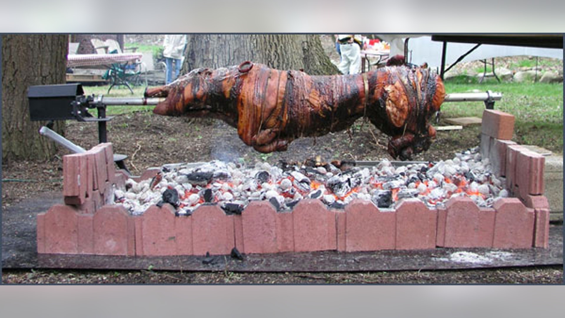 P80 Whole Pig, Lamb and Goat Rotisserie