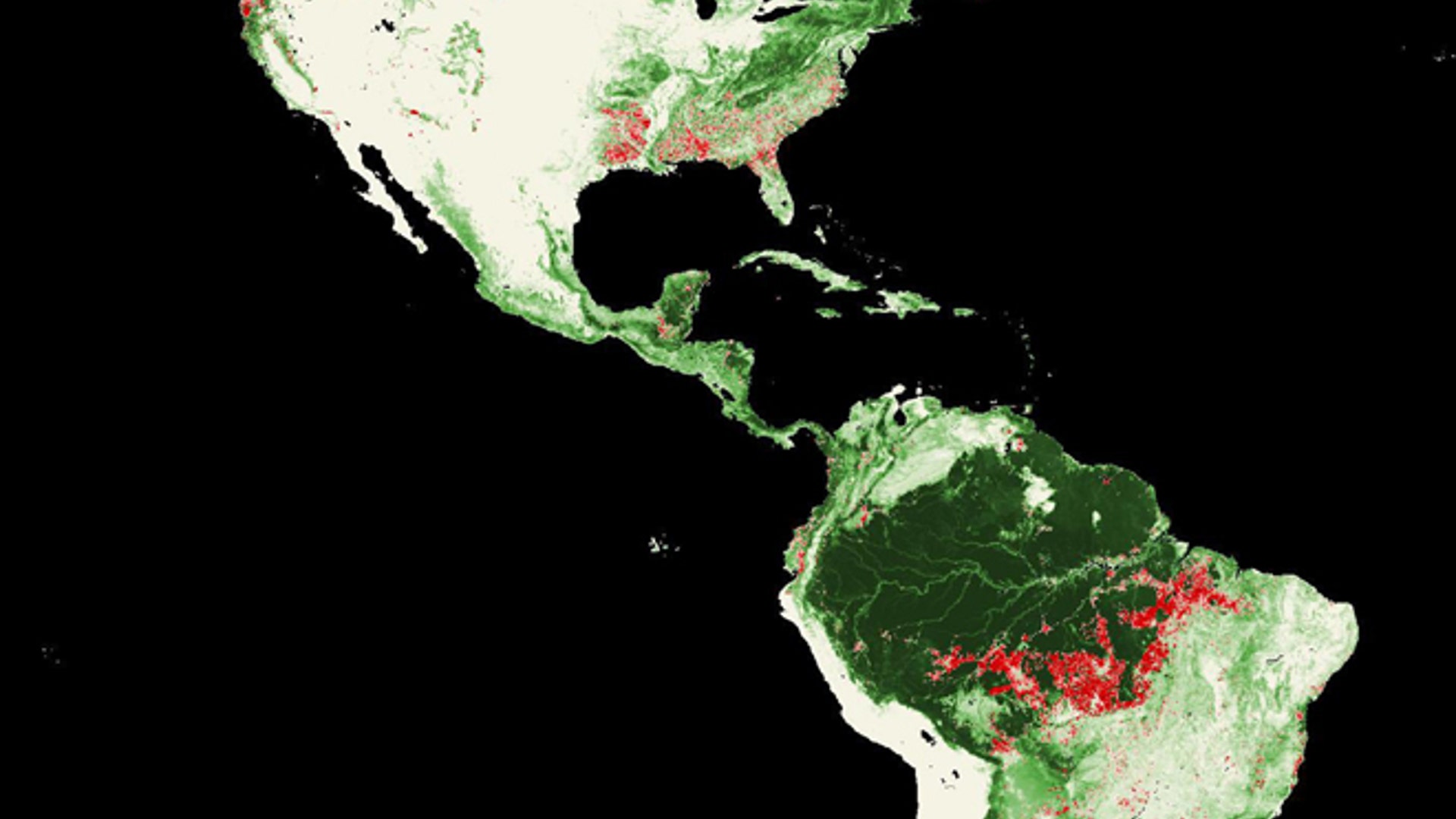 Landsat_Forest_Loss