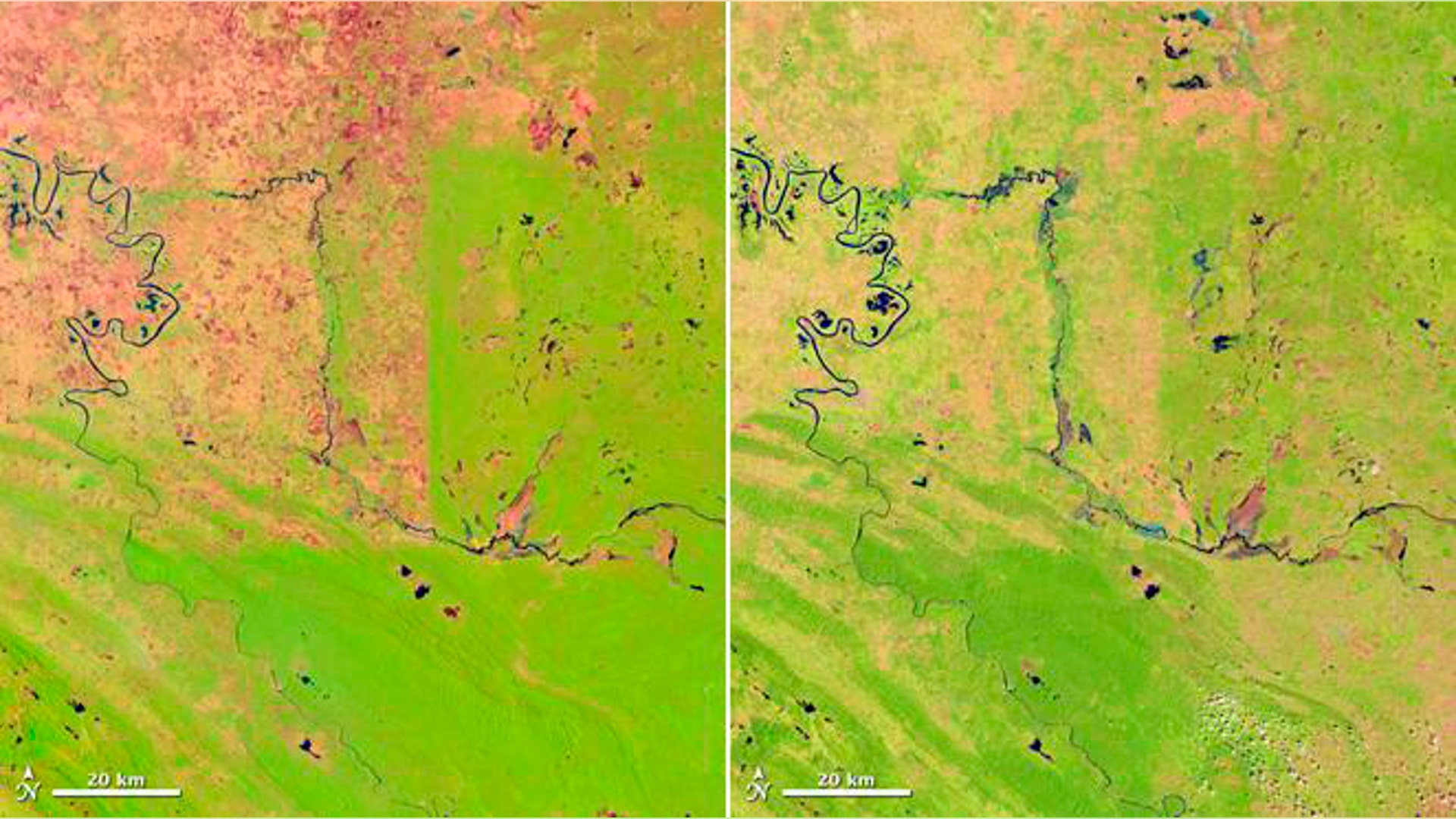 Landsat_Mexico_Forest_88