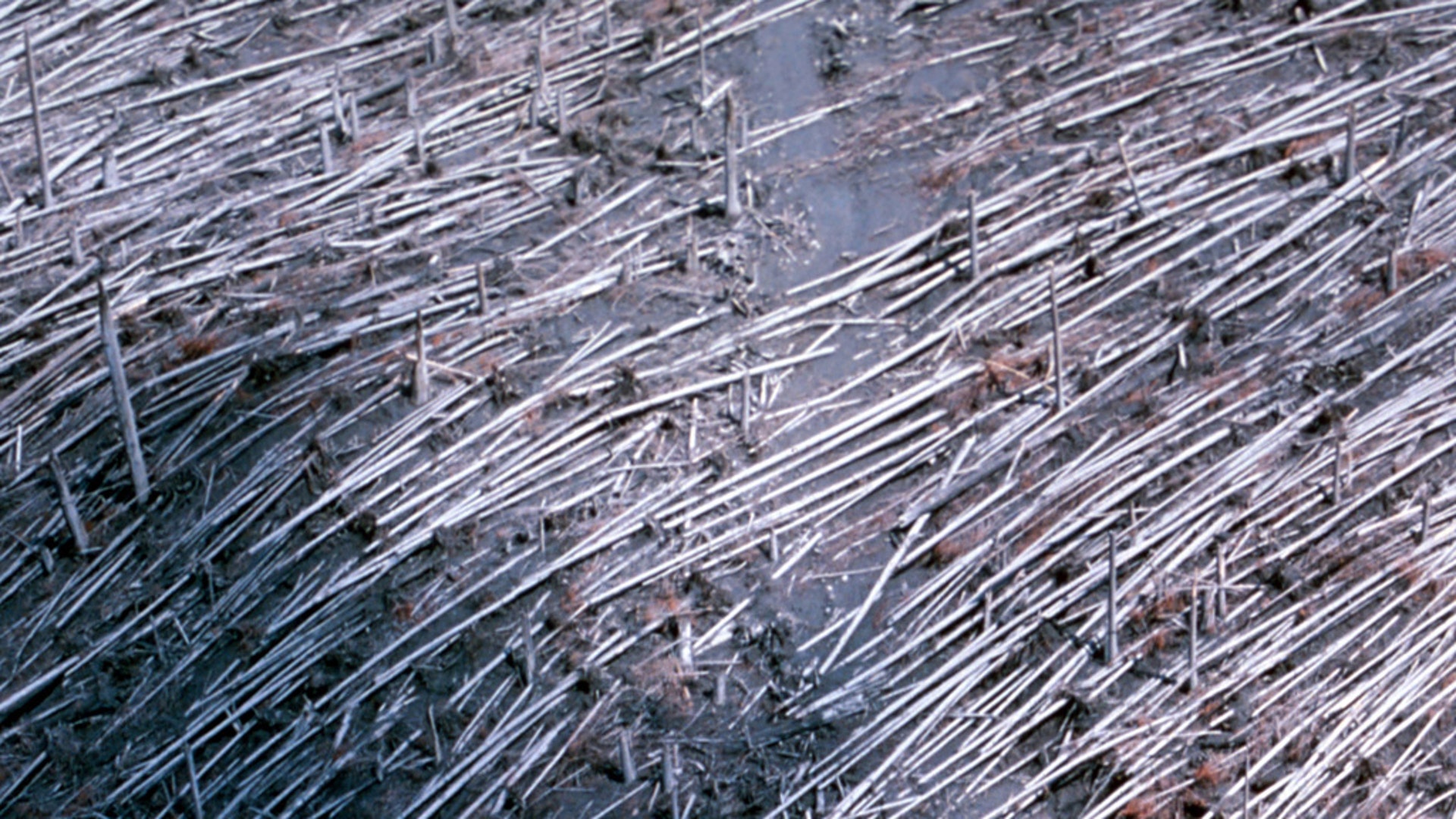 Landsat_Mt_St_Helens