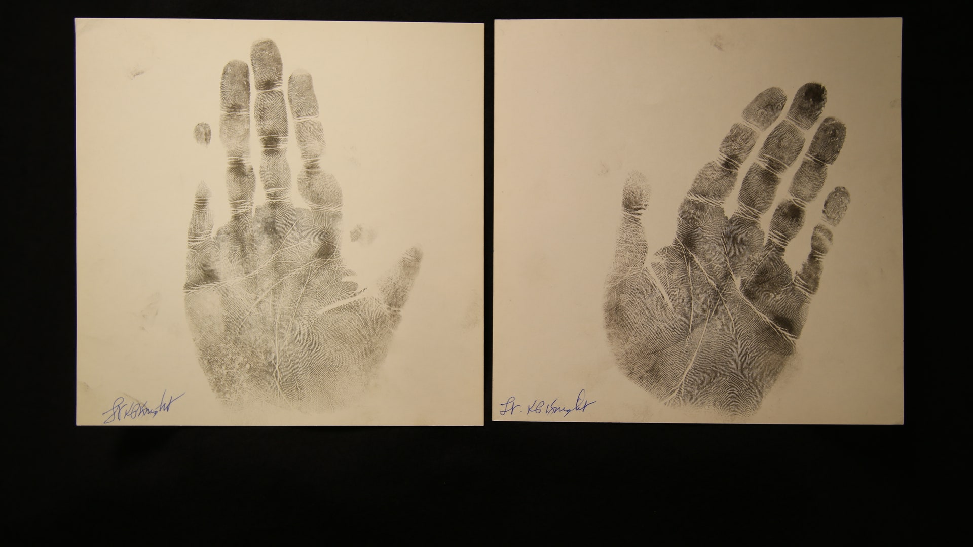 50 Years of Questions: The JFK Assassination