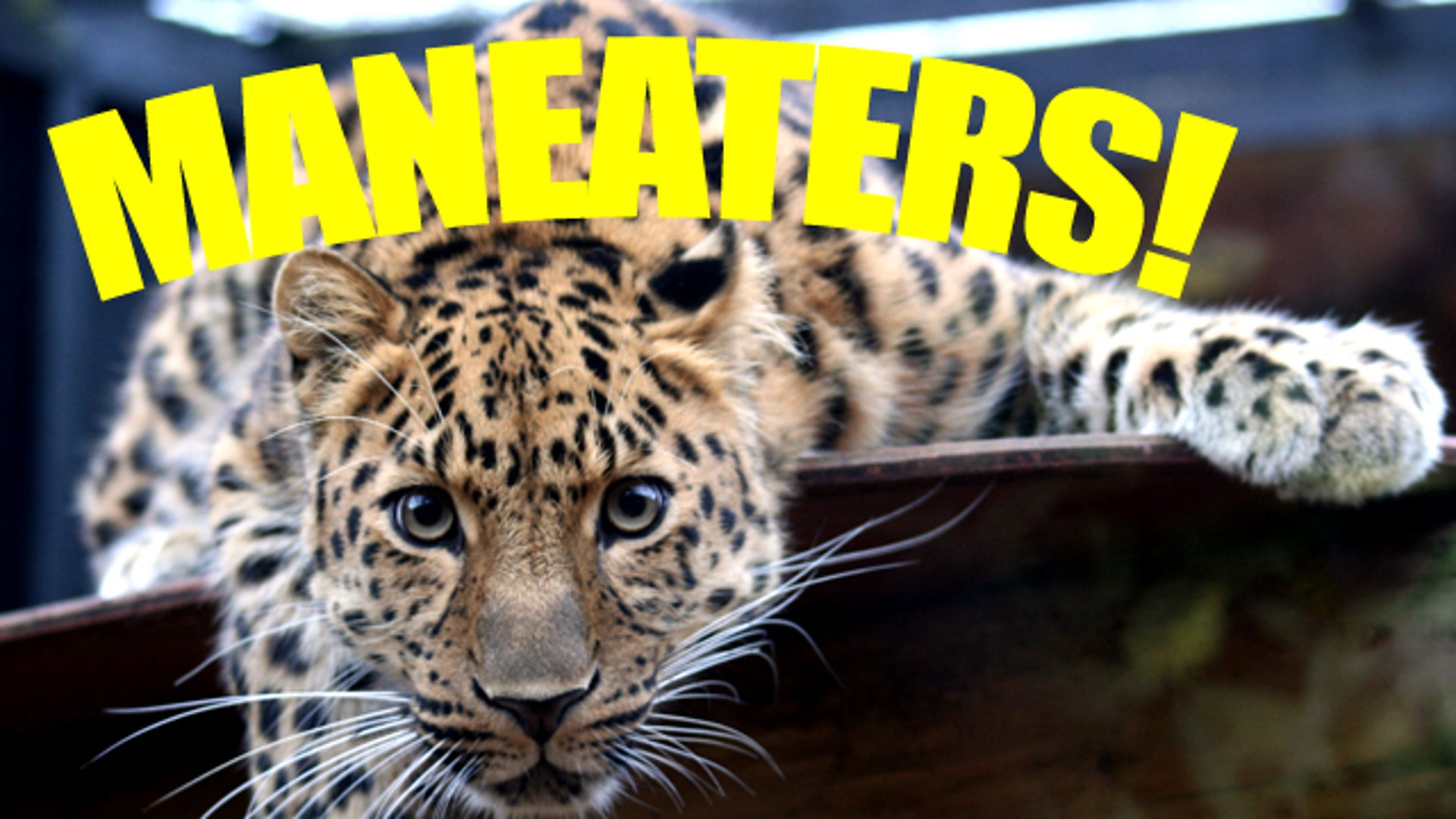 Man-Eaters!