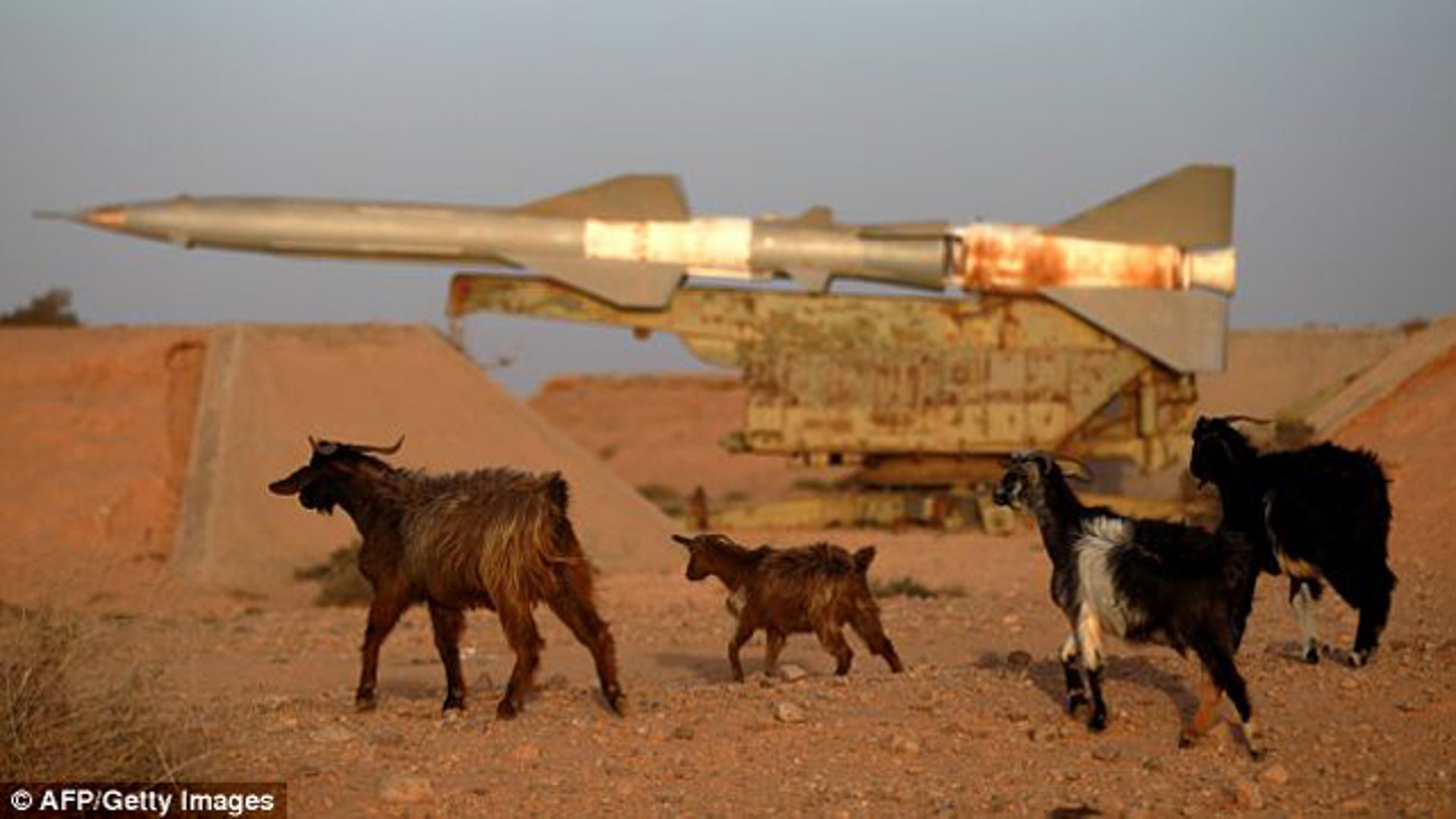 Libya_Missle_Goats_One