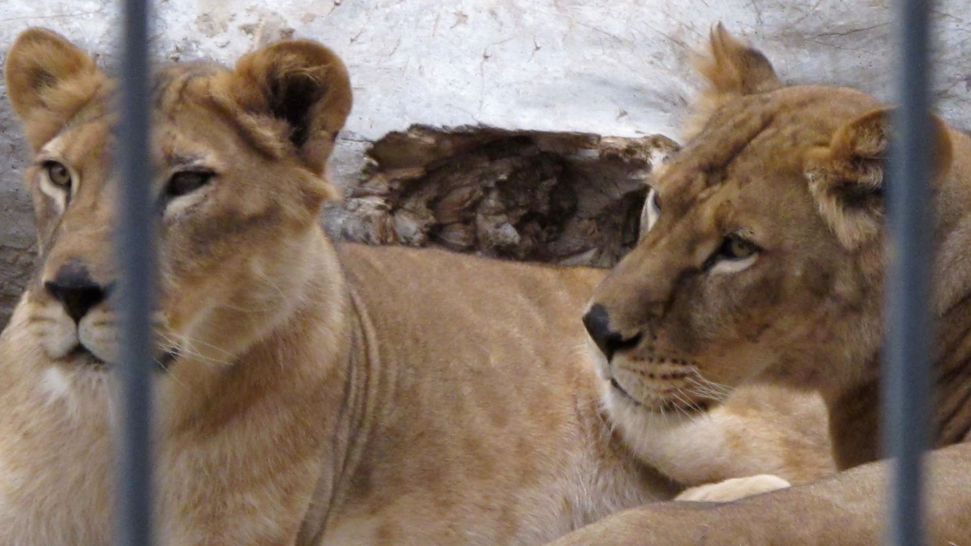 Meeting the Neighbors