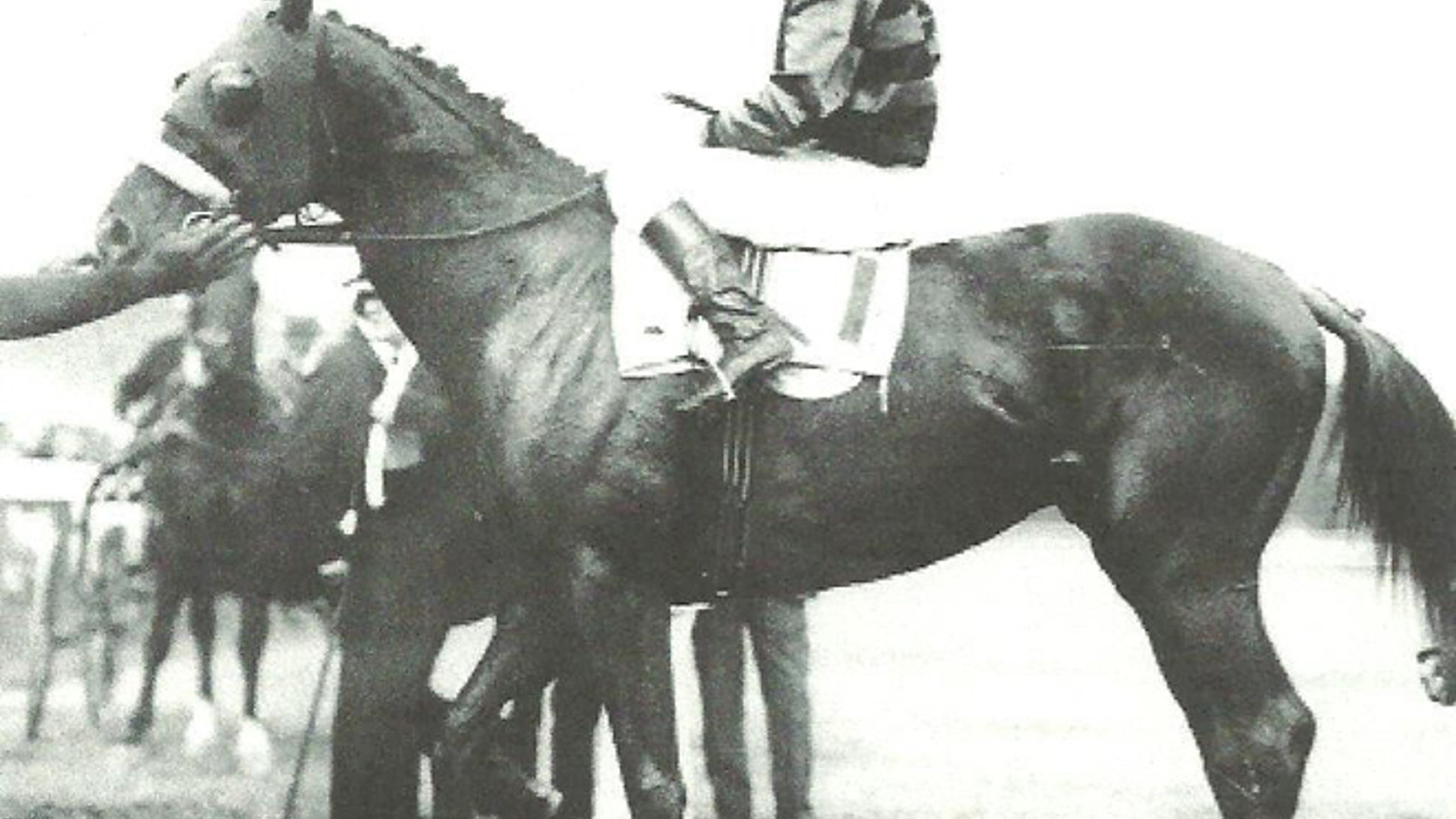 Loftus_Sir_Barton_1919