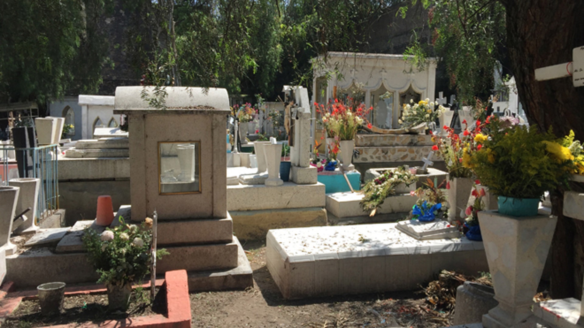 MX_DoD_slideshow_6_Latino