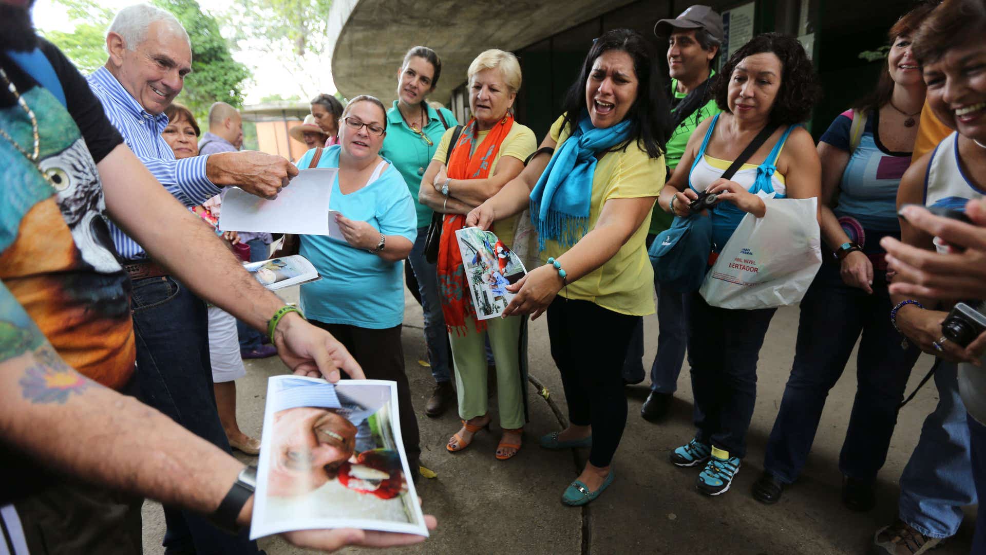 Macaw_Caracas_Venezuela__12_
