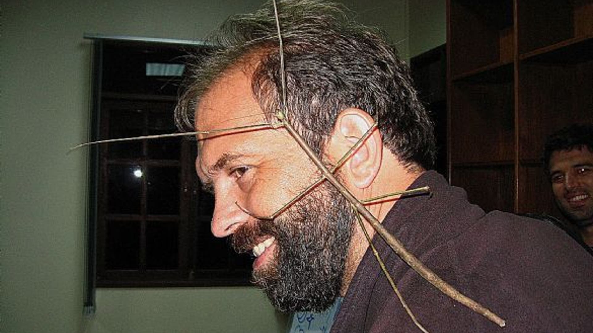 World's Longest Insect