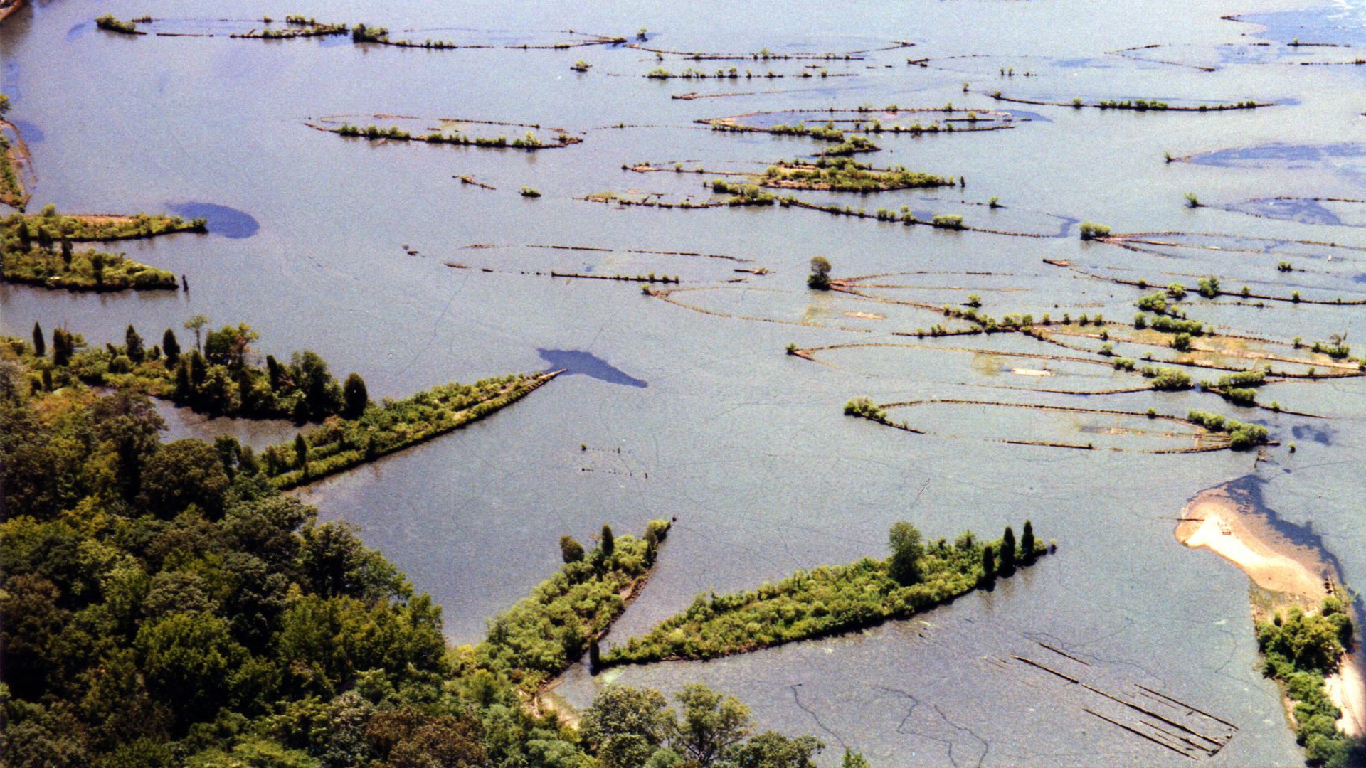 The &apos;Ghost Fleet of Mallows Bay&apos; in pictures 