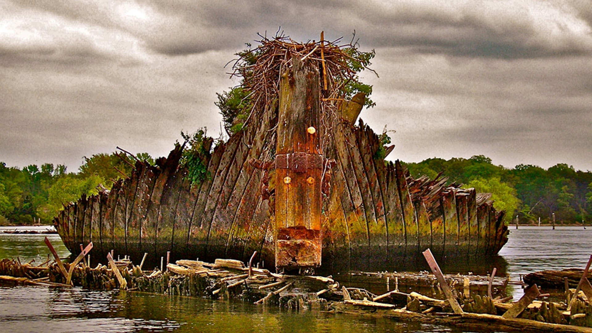 Mallows Bay Benzonia