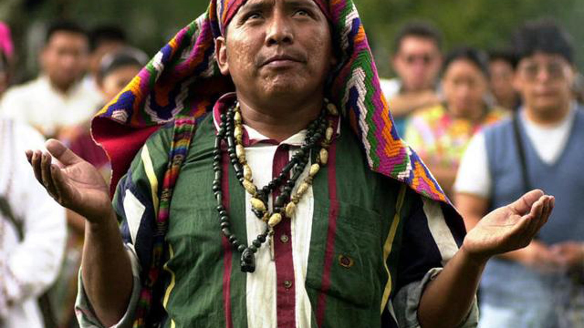 Mayan Native Twelve.jpg