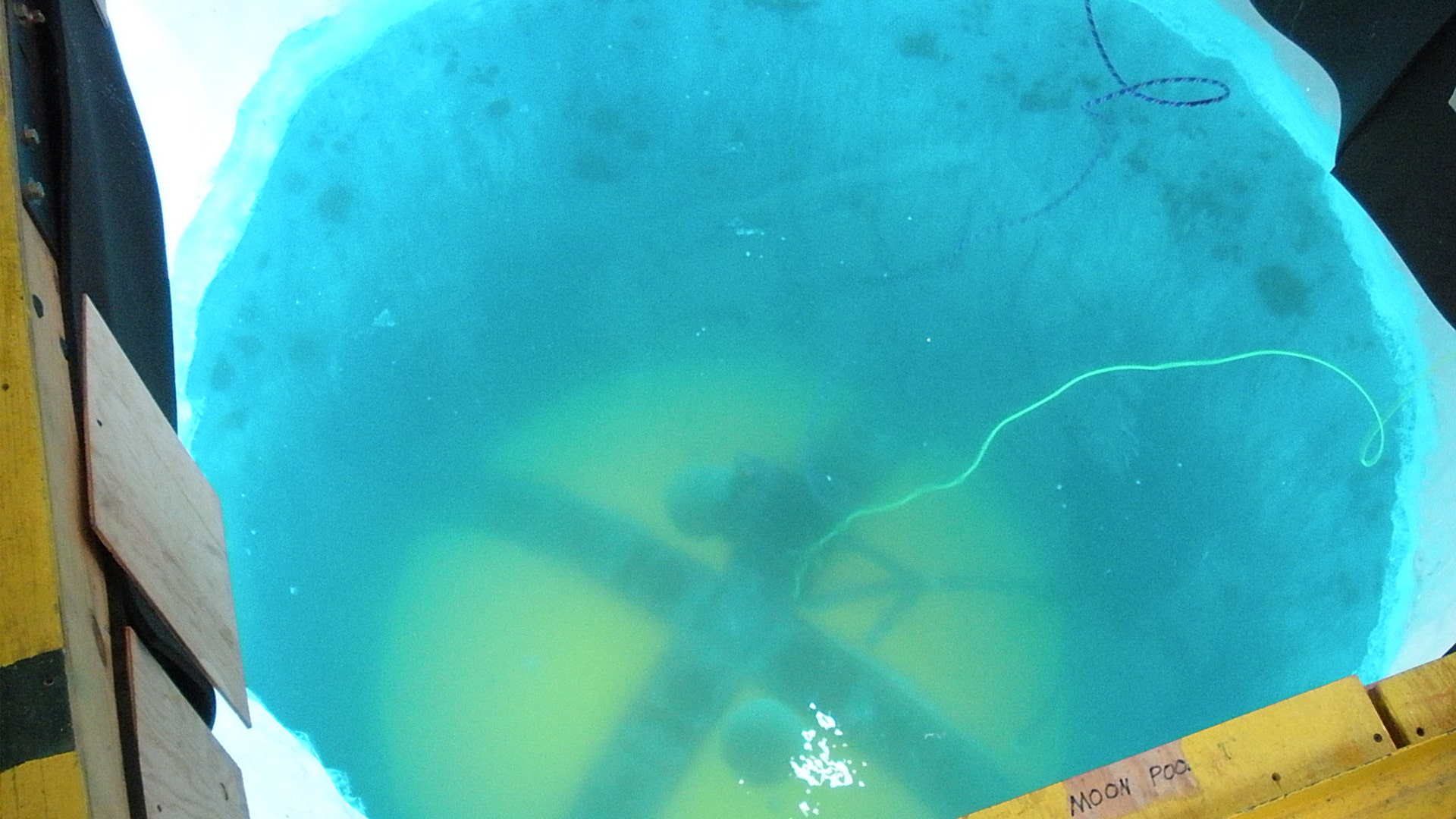 The Endurance Explorer