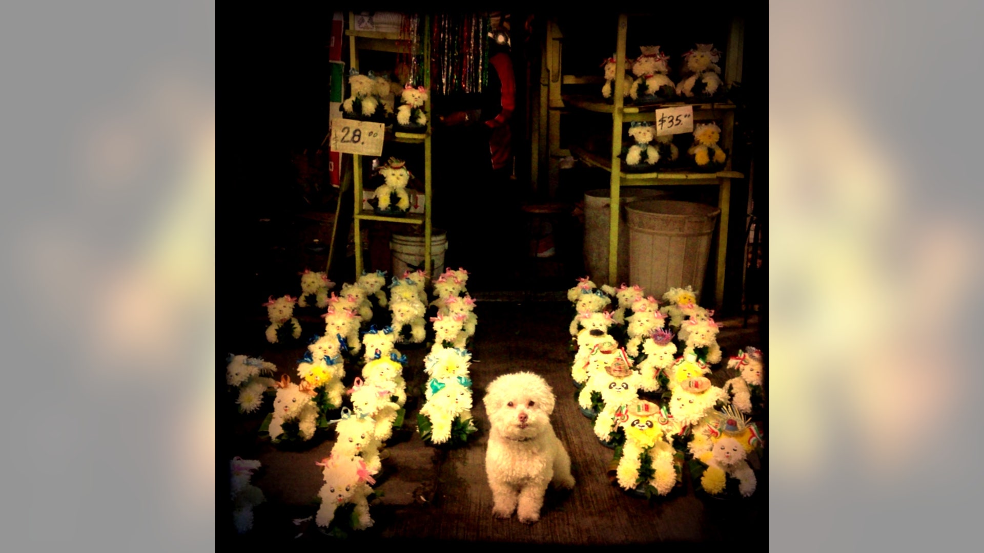 Mercado_de_jamaica___DF