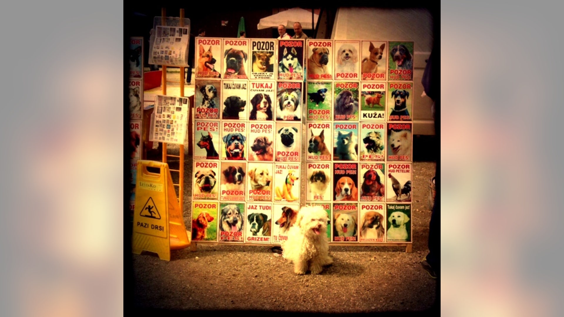 Mercado_de_pulgas___Maribor_Slovenia