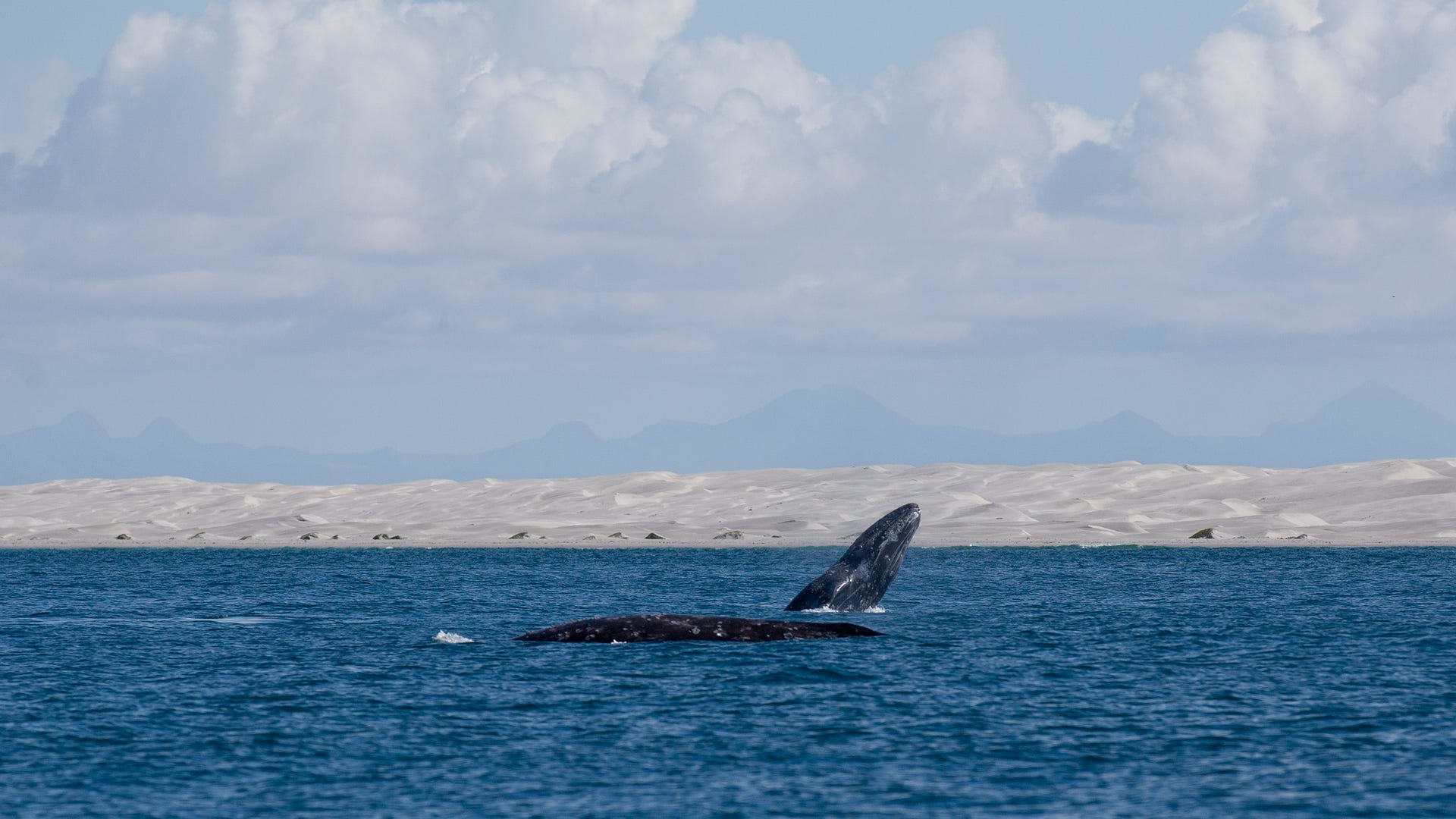 Mexico_Baja_Tourism__15_