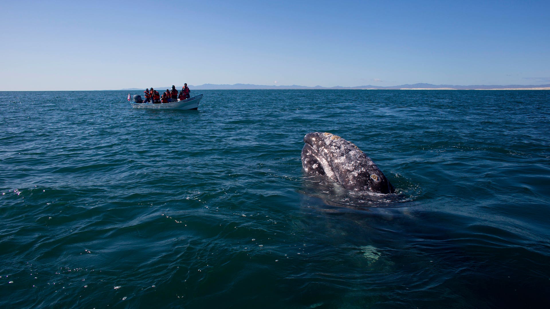 Mexico_Baja_Tourism__17_