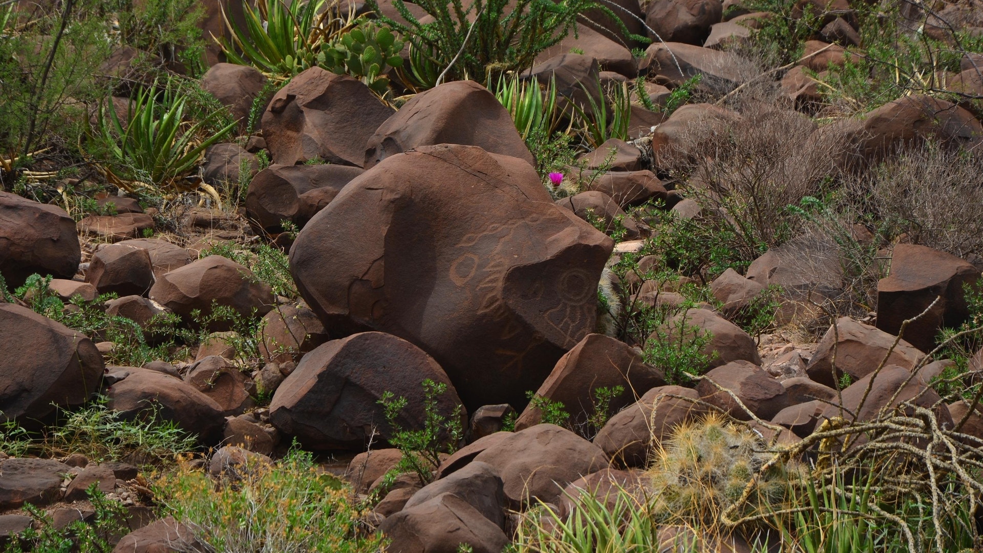 Mexico_Etchings_Found__1_