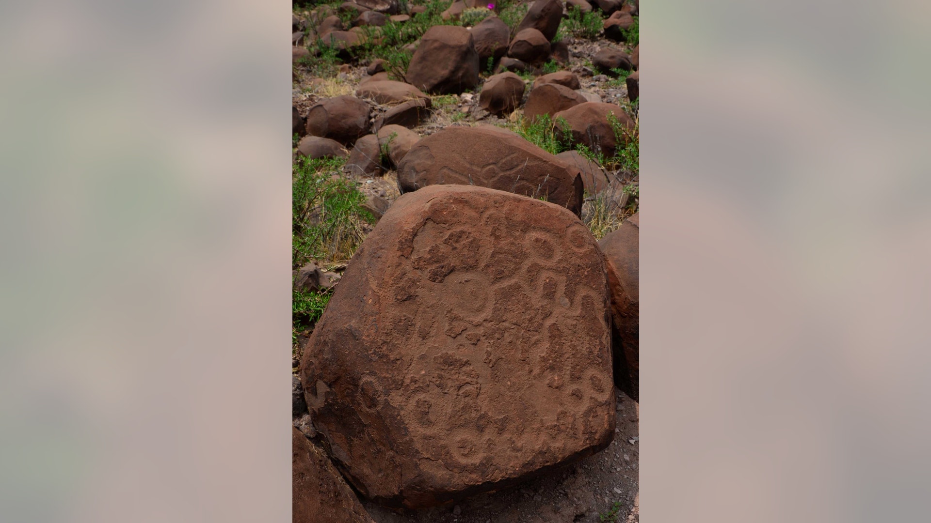 Mexico_Etchings_Found