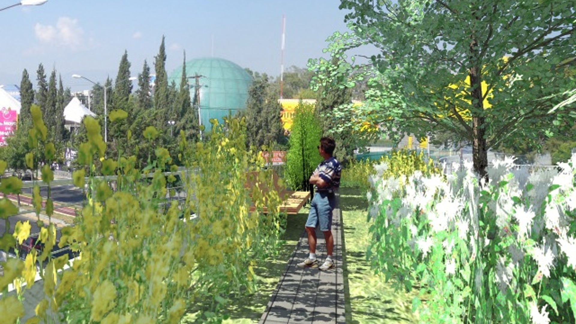 Mexico High Line 15 FNL