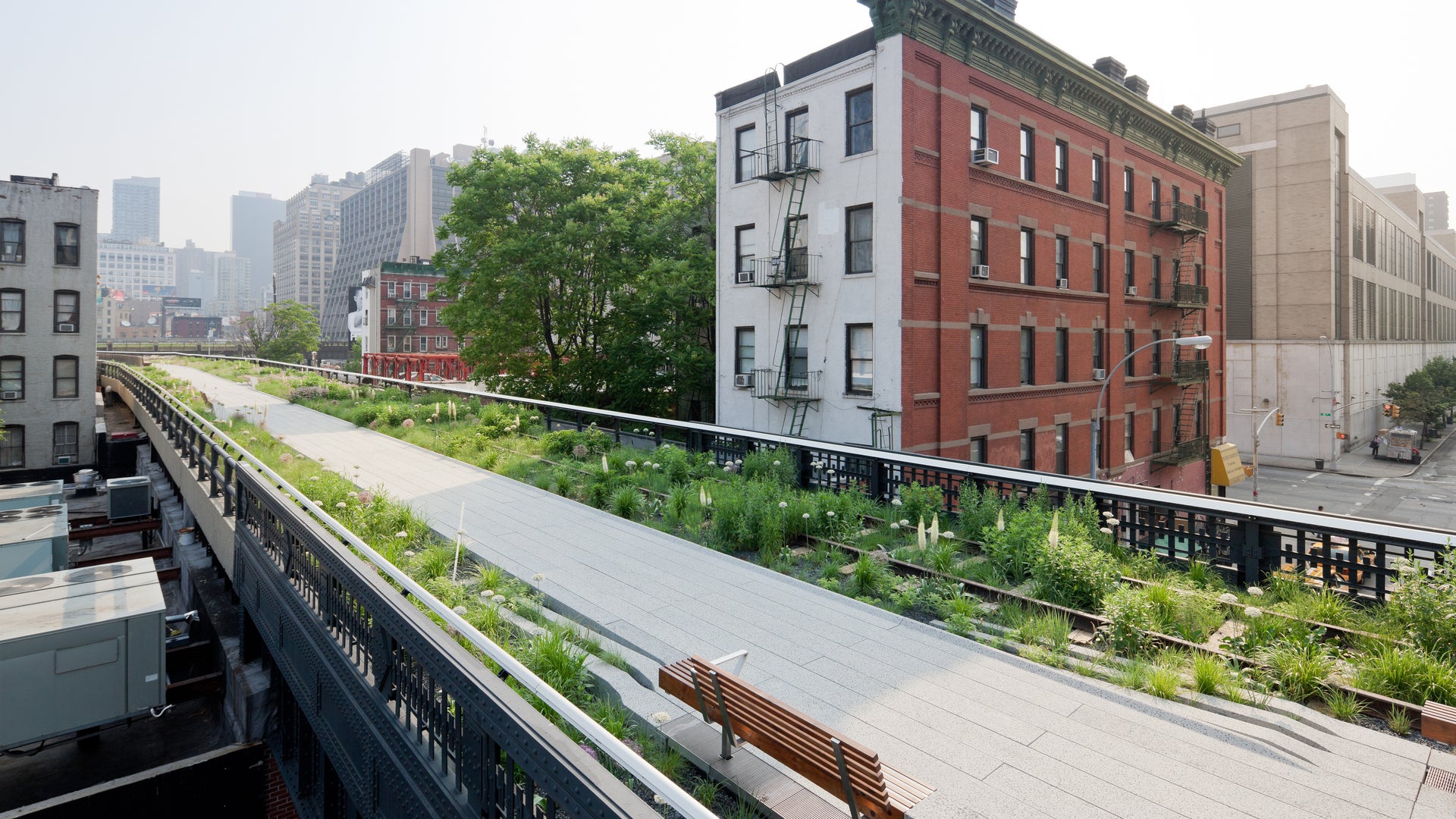 Mexico High Line Chelsea 25 FNL