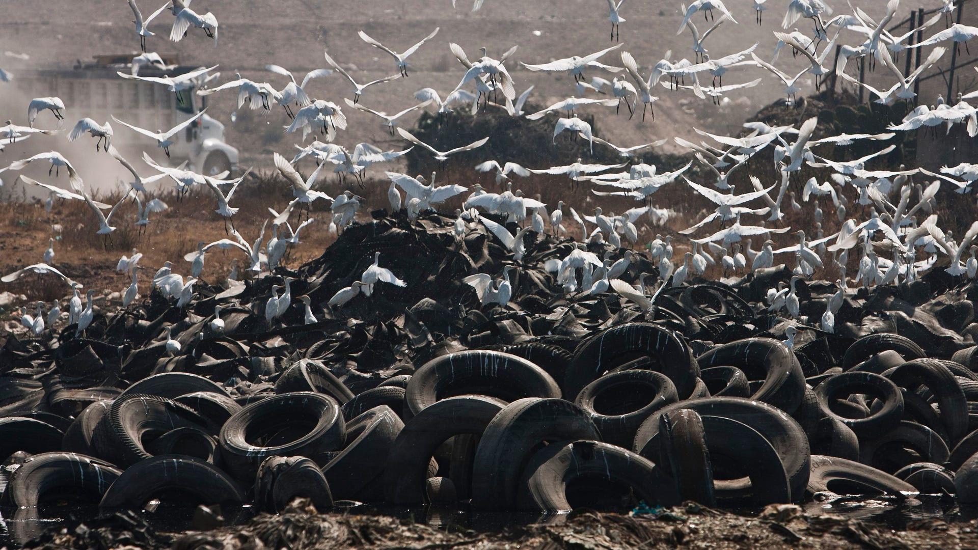 Mexico City closes world's largest trash dump Fox News