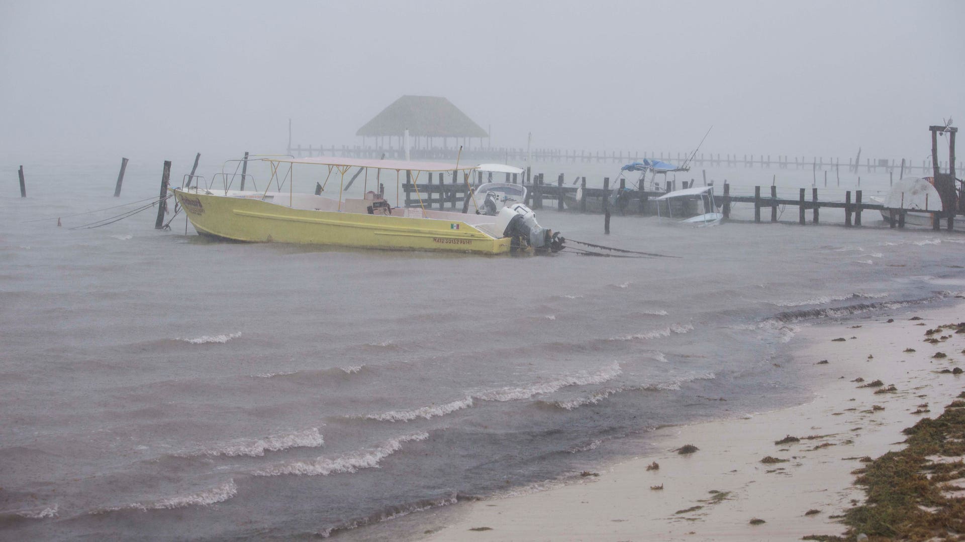 Mexico_Tropical_Wathe_Vros__1_