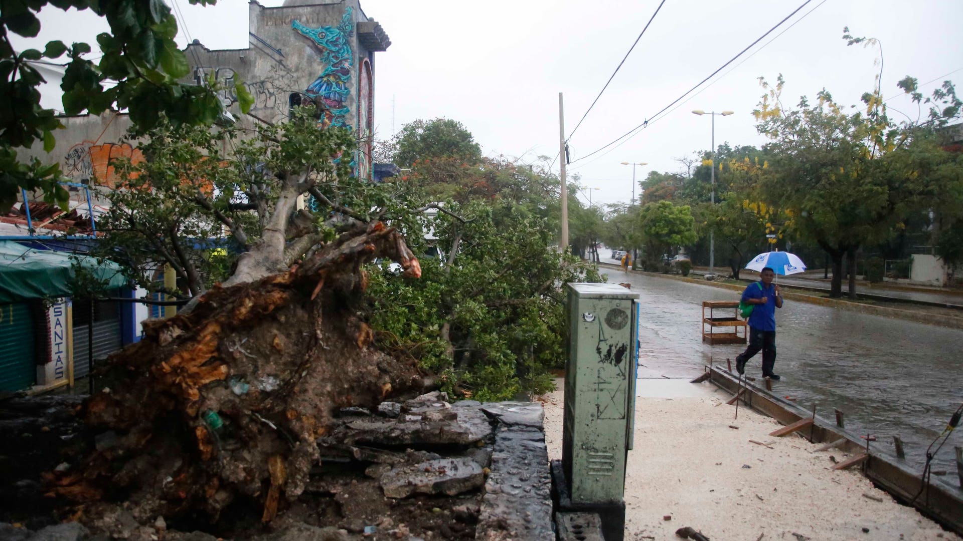 Mexico_Tropical_Wathe_Vros