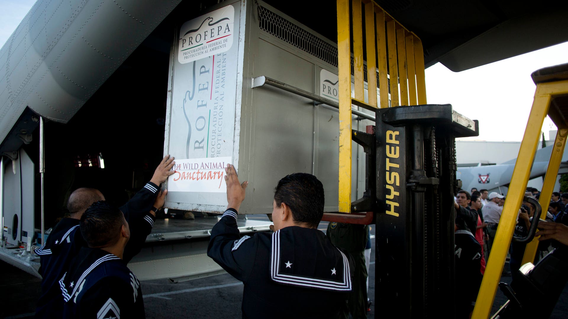 Mexico_US_Animal_Airl_Garc_4_