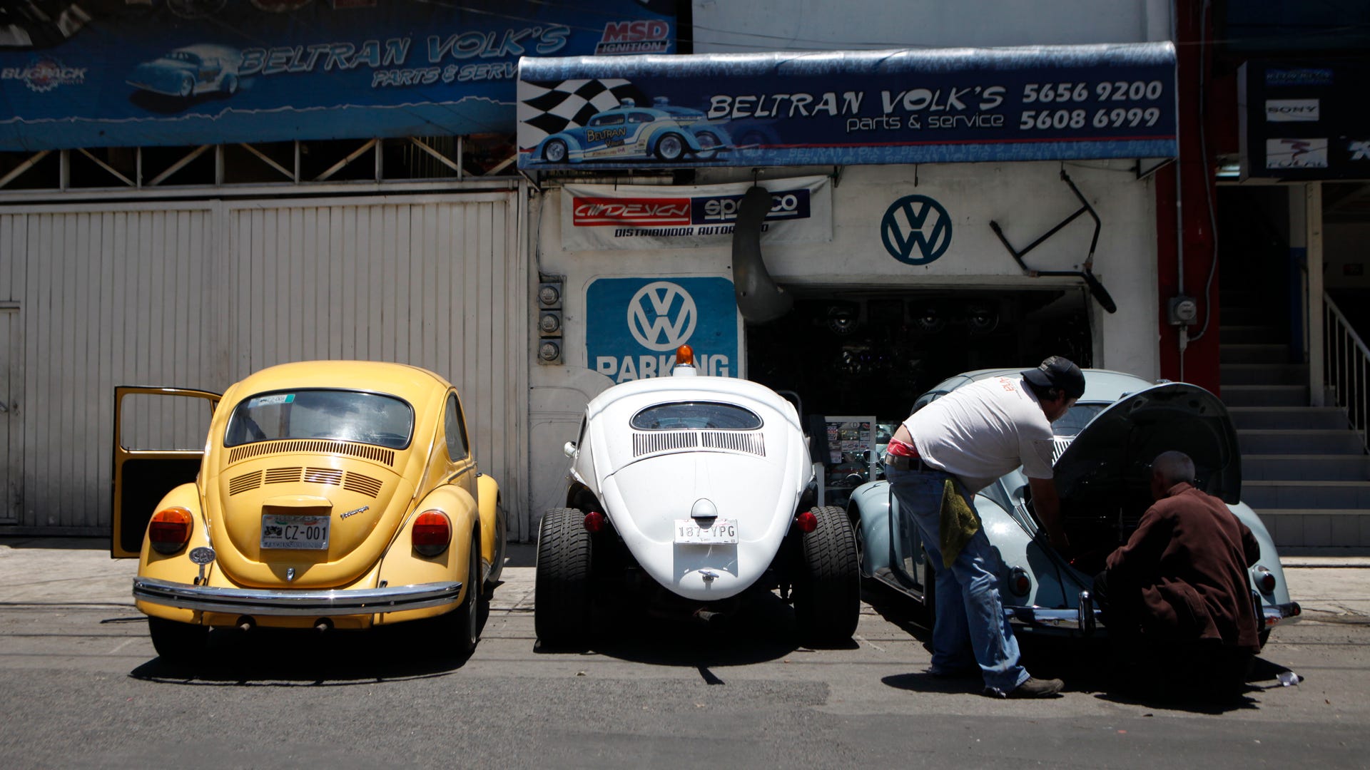 Mexico_VW_Beetles_Pho_Vros__11_