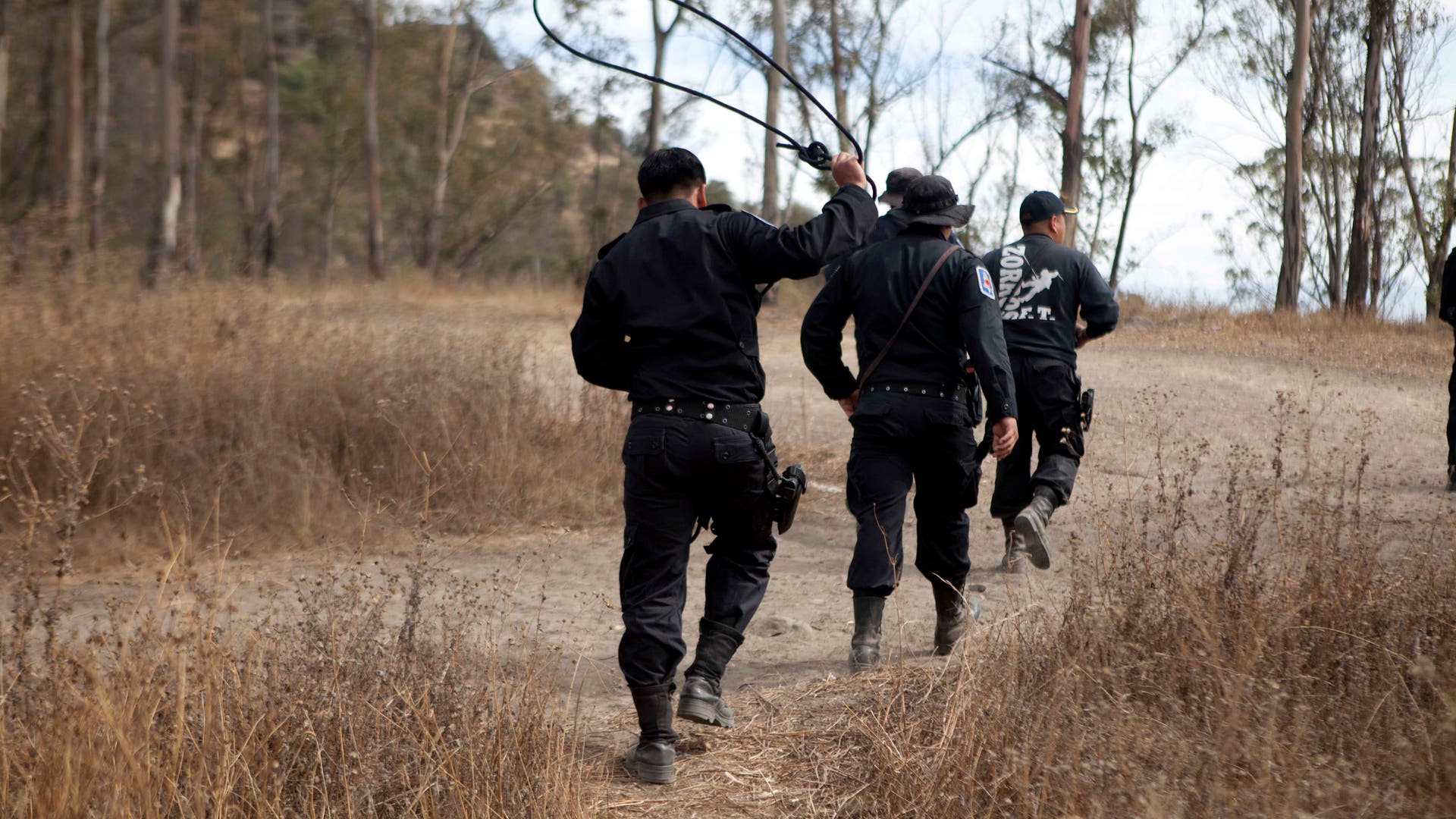 Mexico_Wild_Dog_Killi_Carr_3_