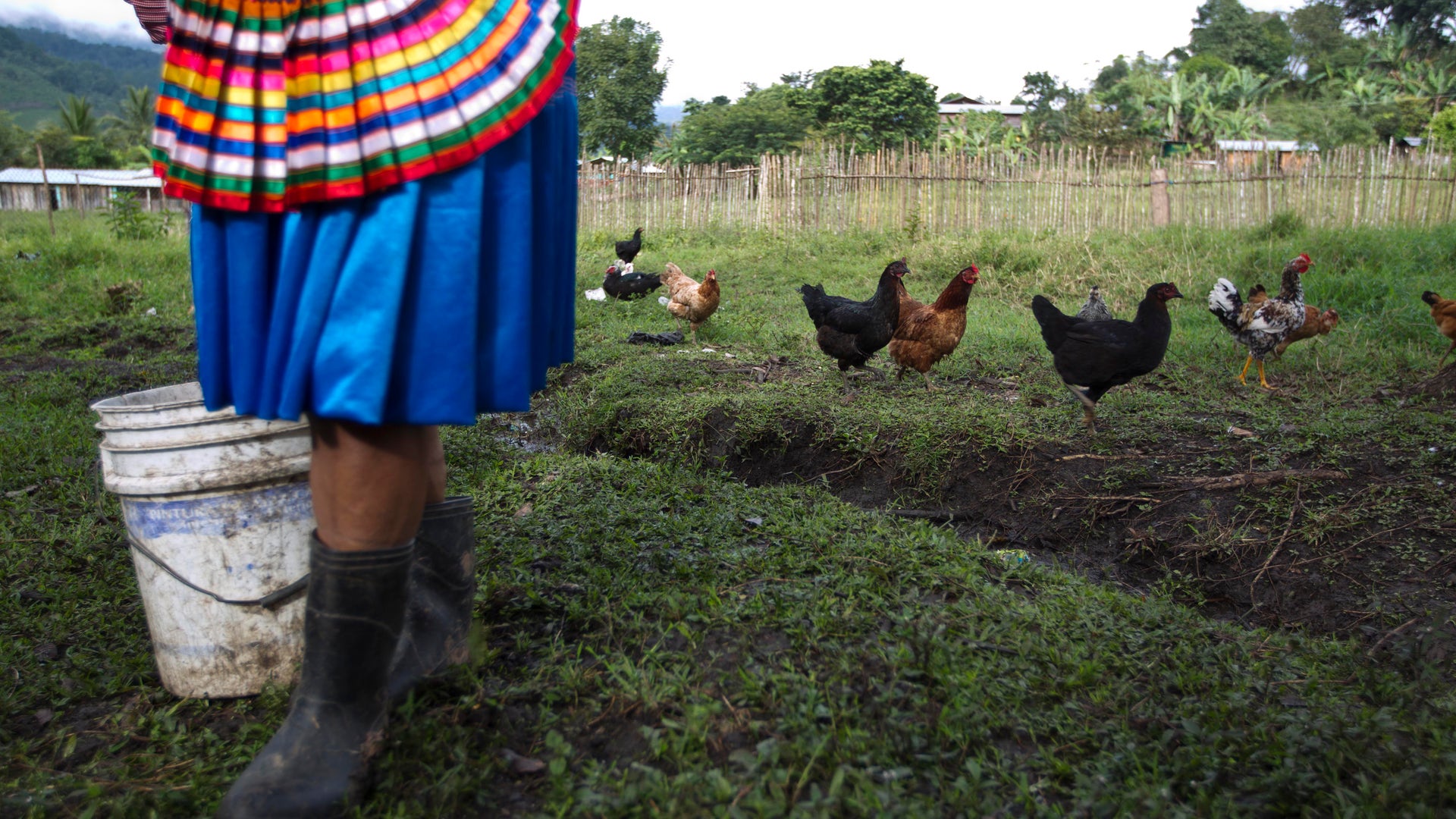 Mexico_Zapatista_Community__3_