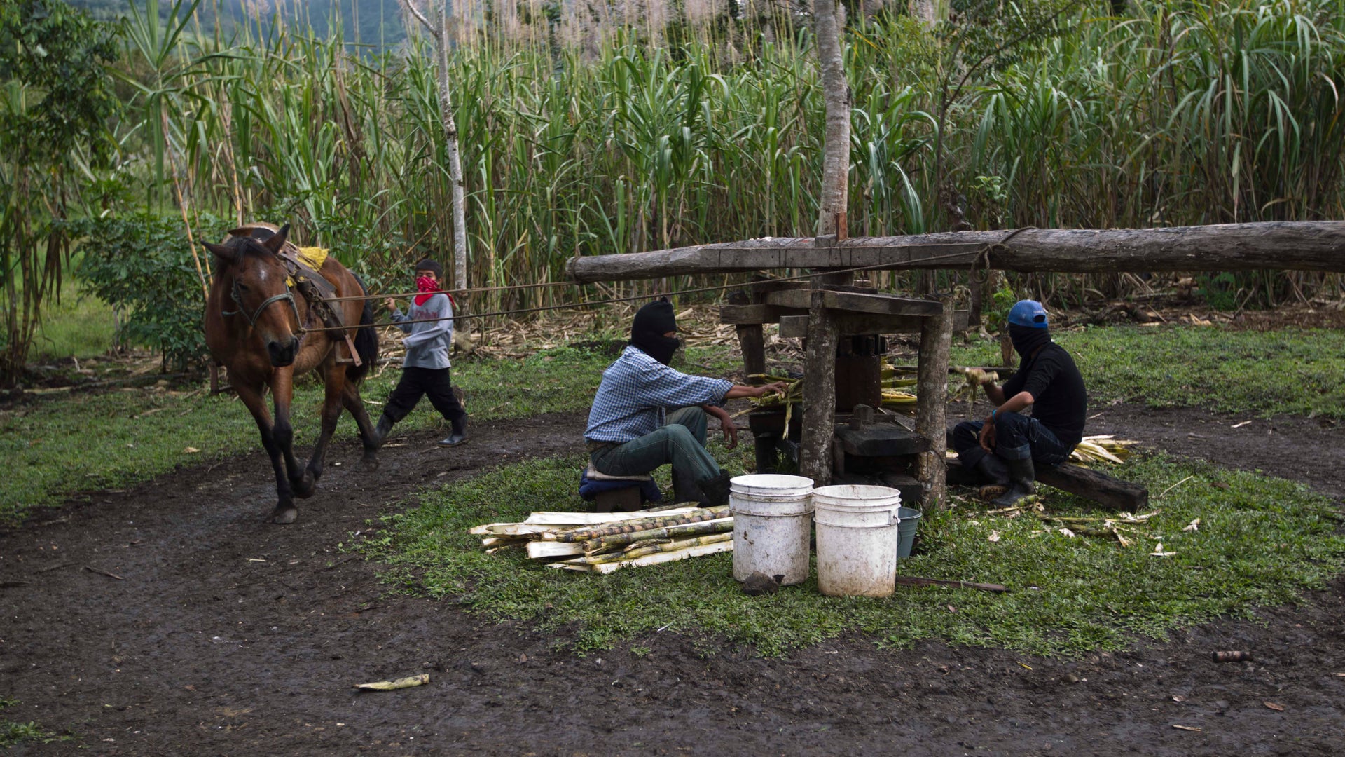 Mexico_Zapatista_Community__8_