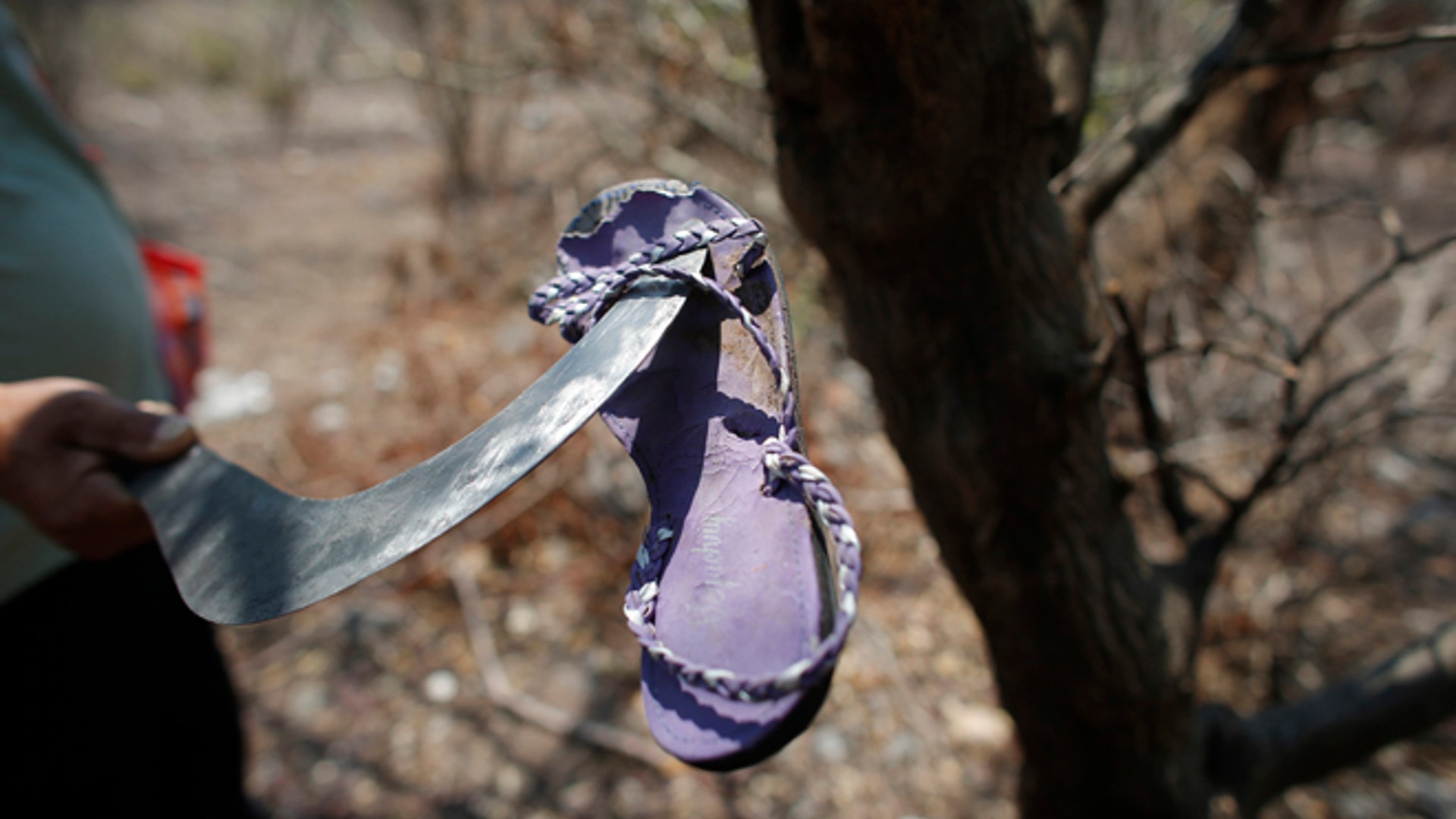 Mexico_other_disappeared_Latino_5