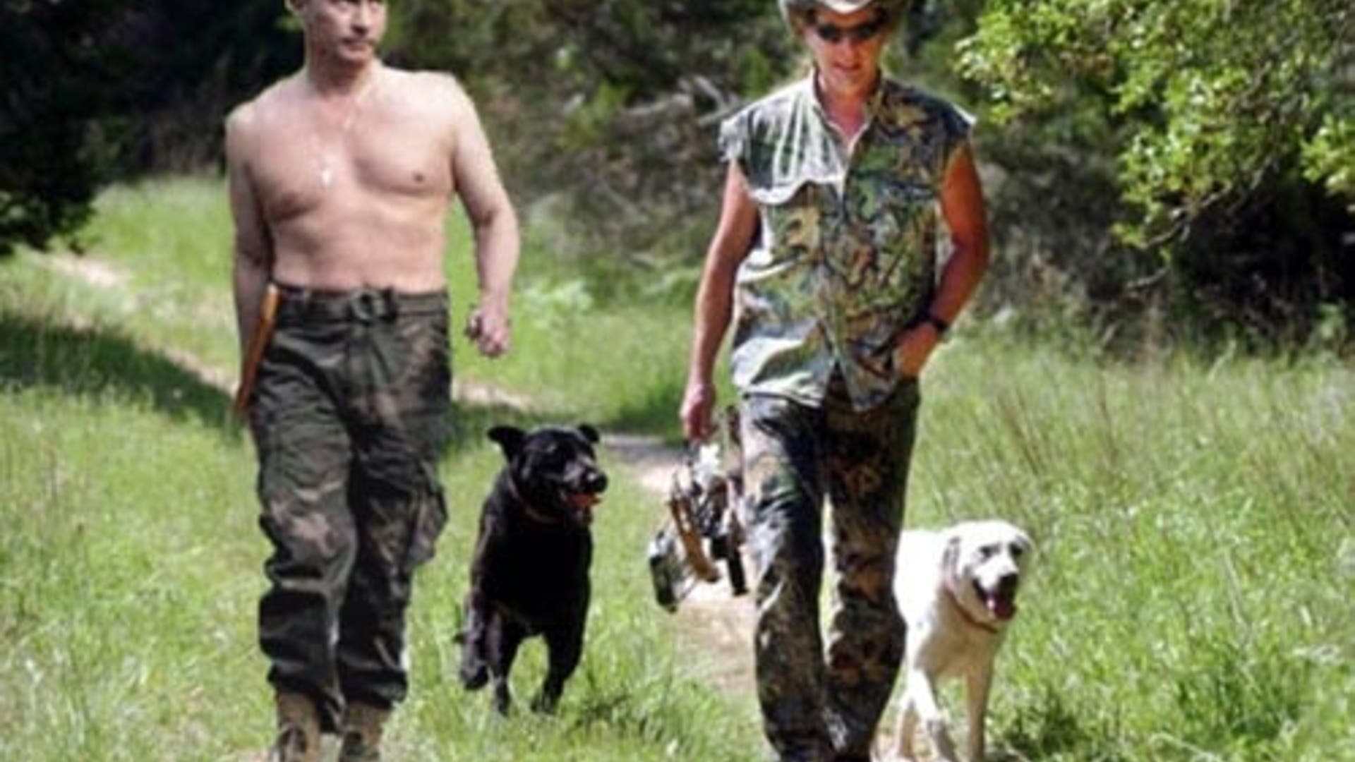 Where Are Other Spies Hiding?