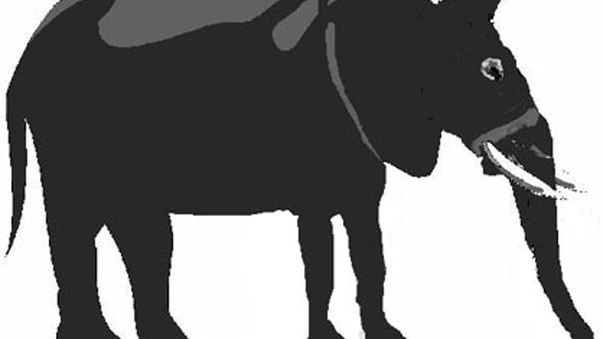 Animal Hybrids We'd Like to See