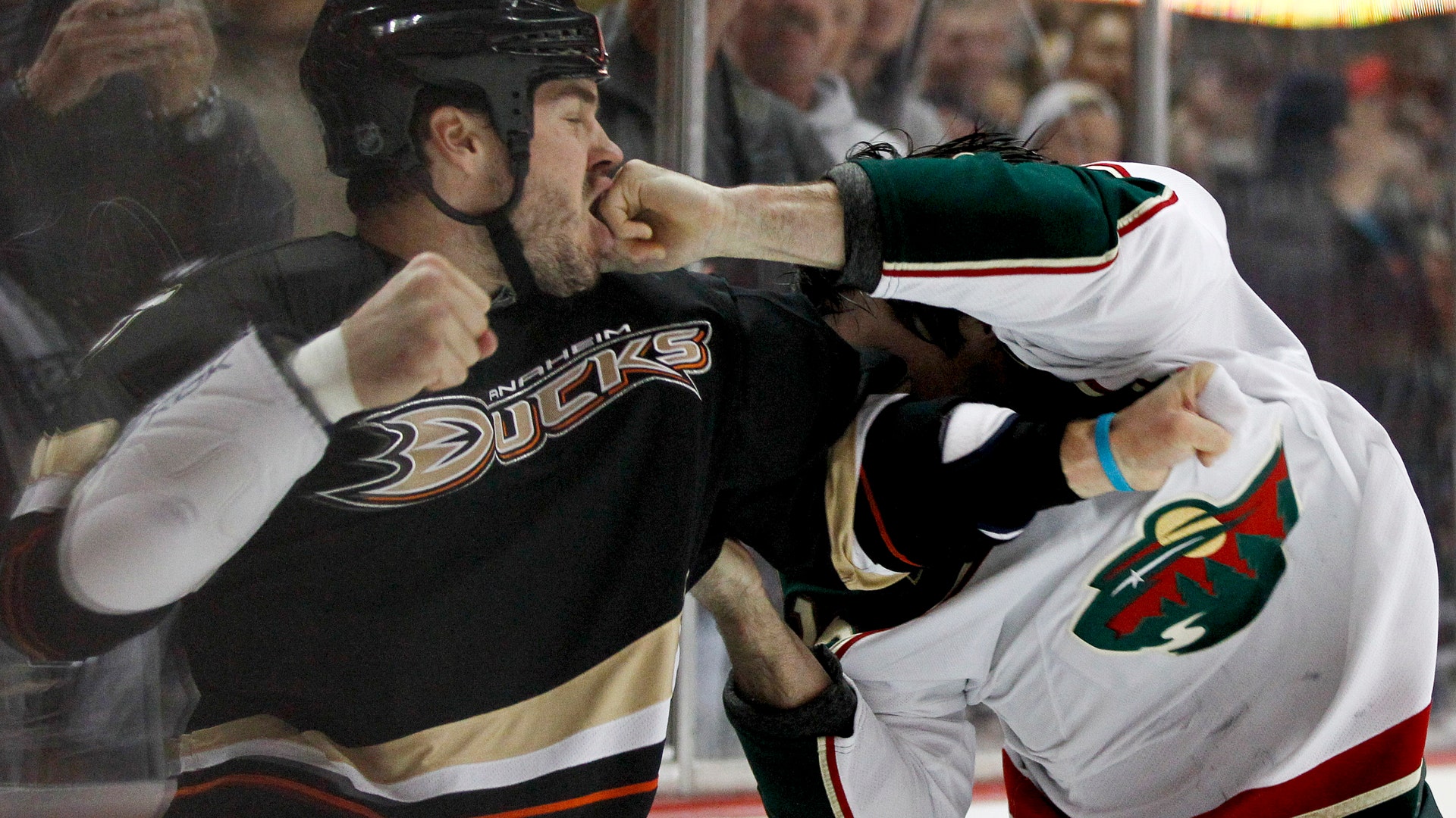 Minnesota_Wild_right