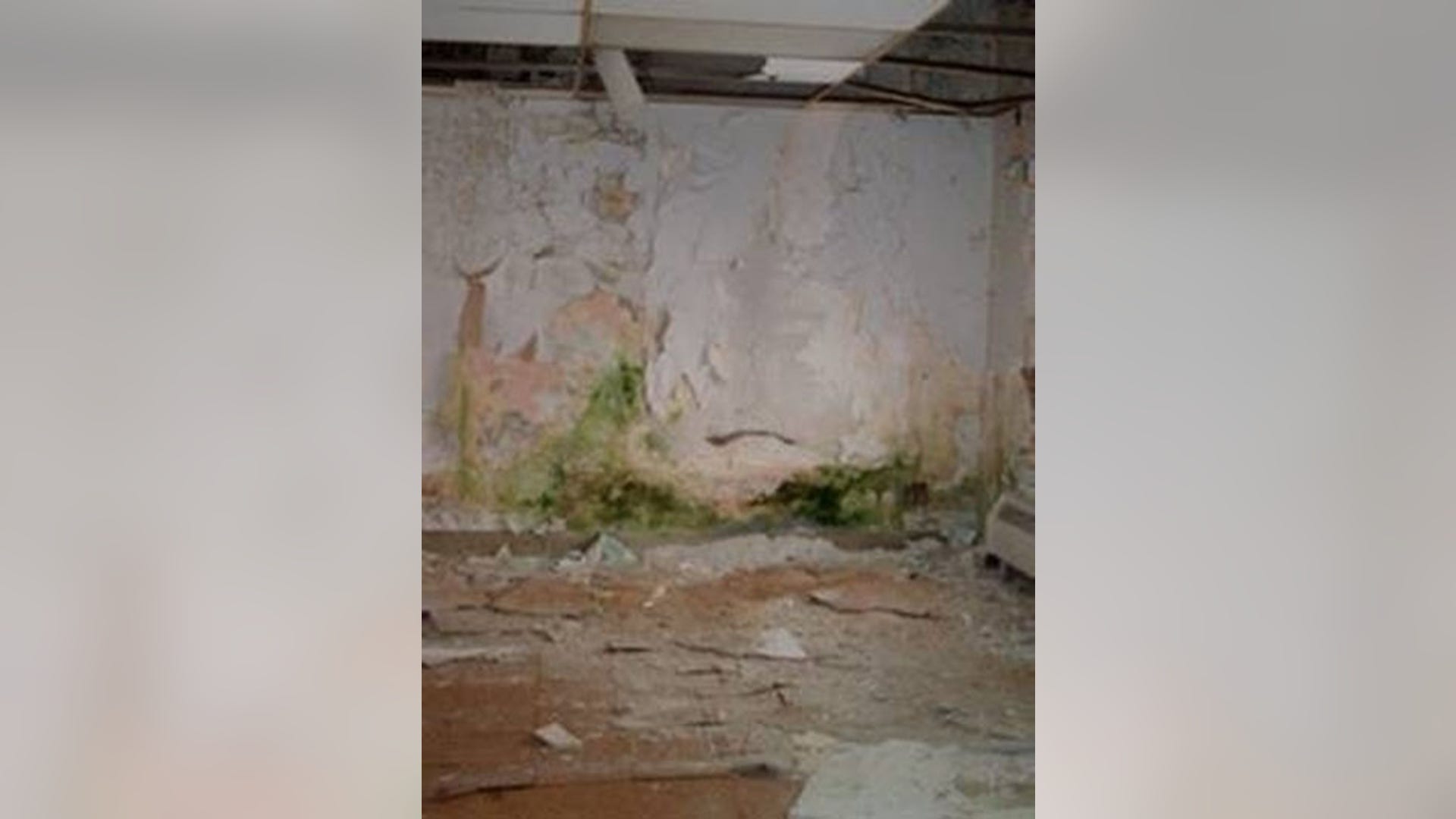 Mold_and_Asbestos