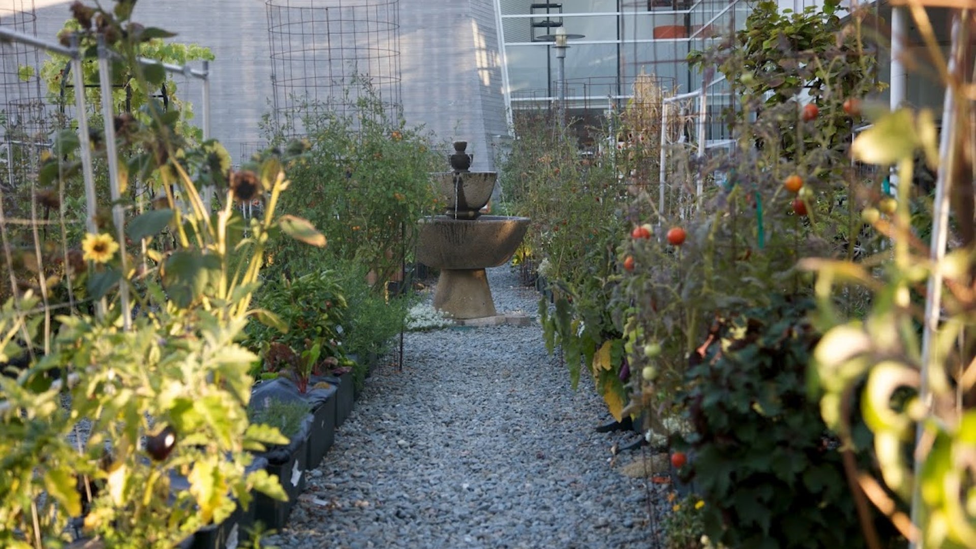 Mountain_View_Googleplex20