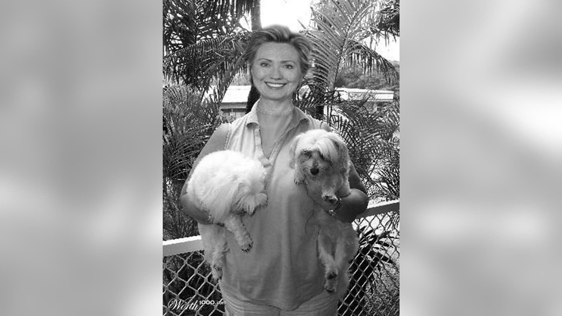 Politicians and Pooches