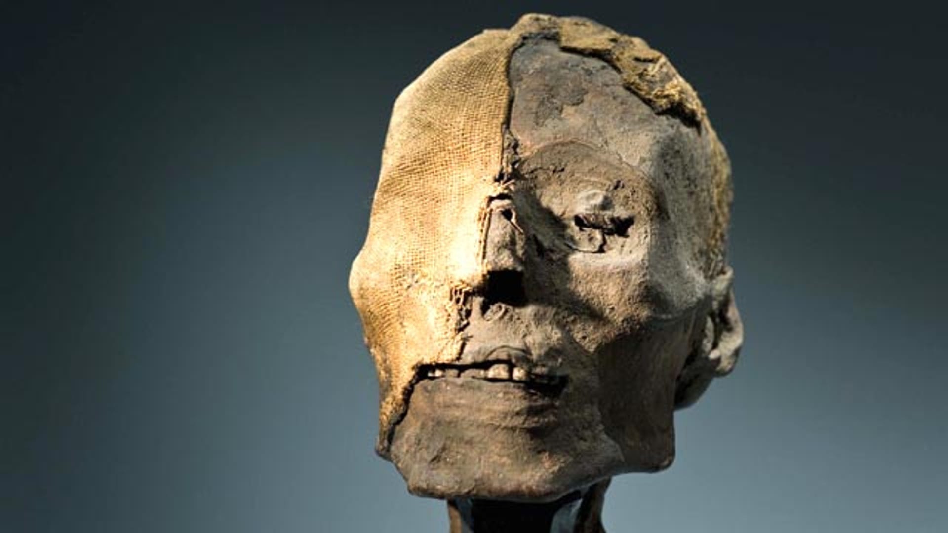 Mummy_Head_Credit_American_Exhibitions__Inc