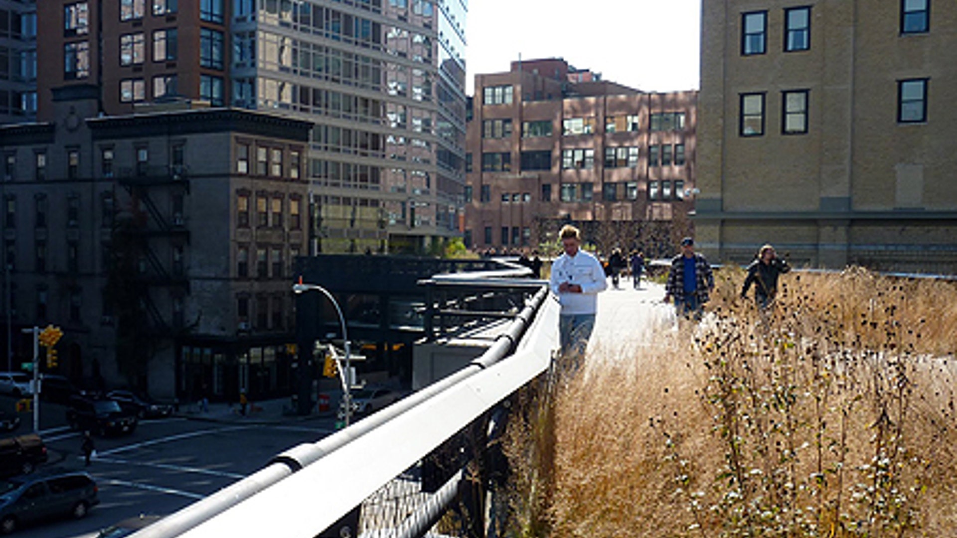 2... The High Line's Elevated Expectations
