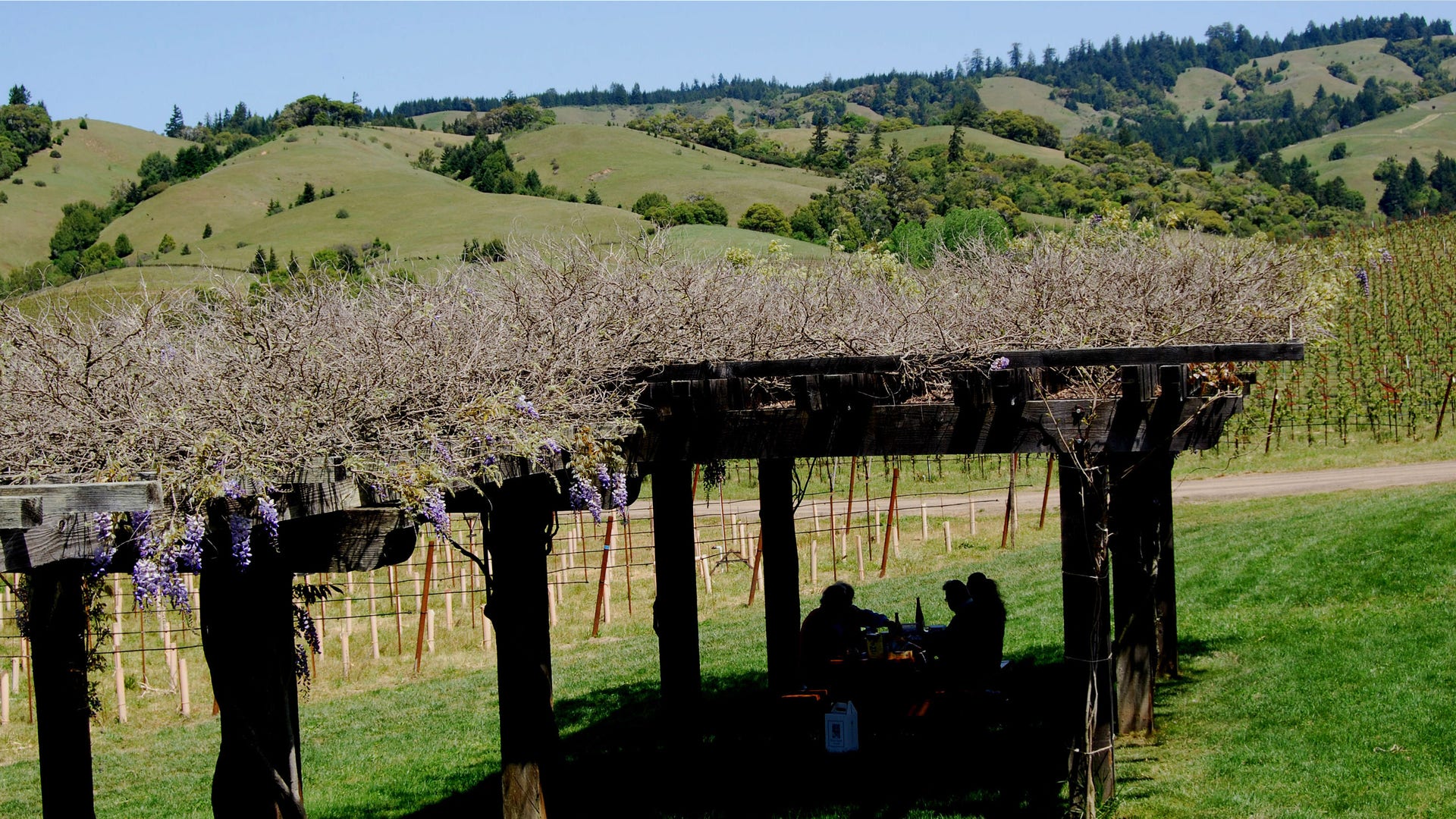 Navarro_picnick_area